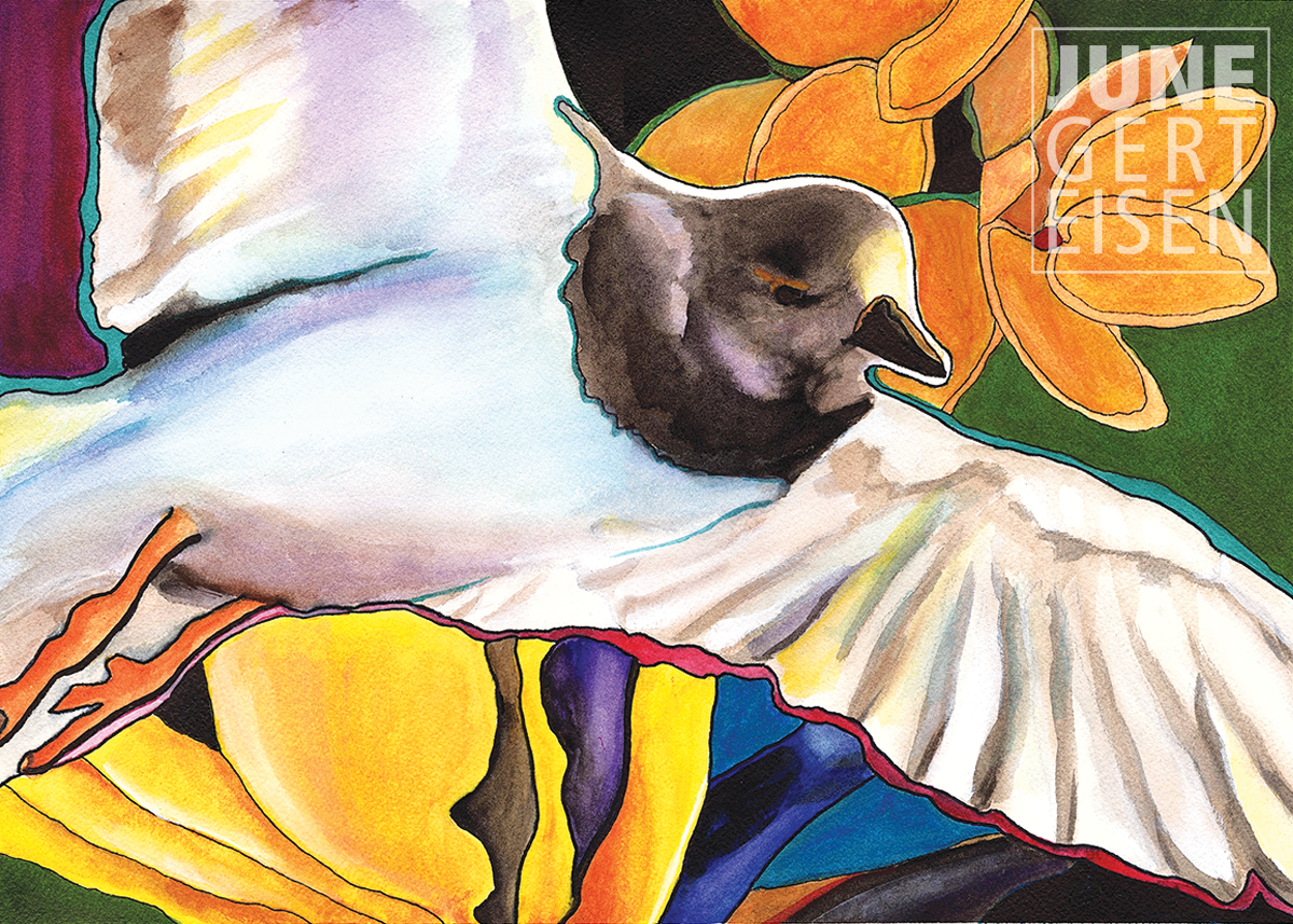 Ruddy Turnstone "'Akekeke " 2020. Watercolor, 10 x 14 inches.