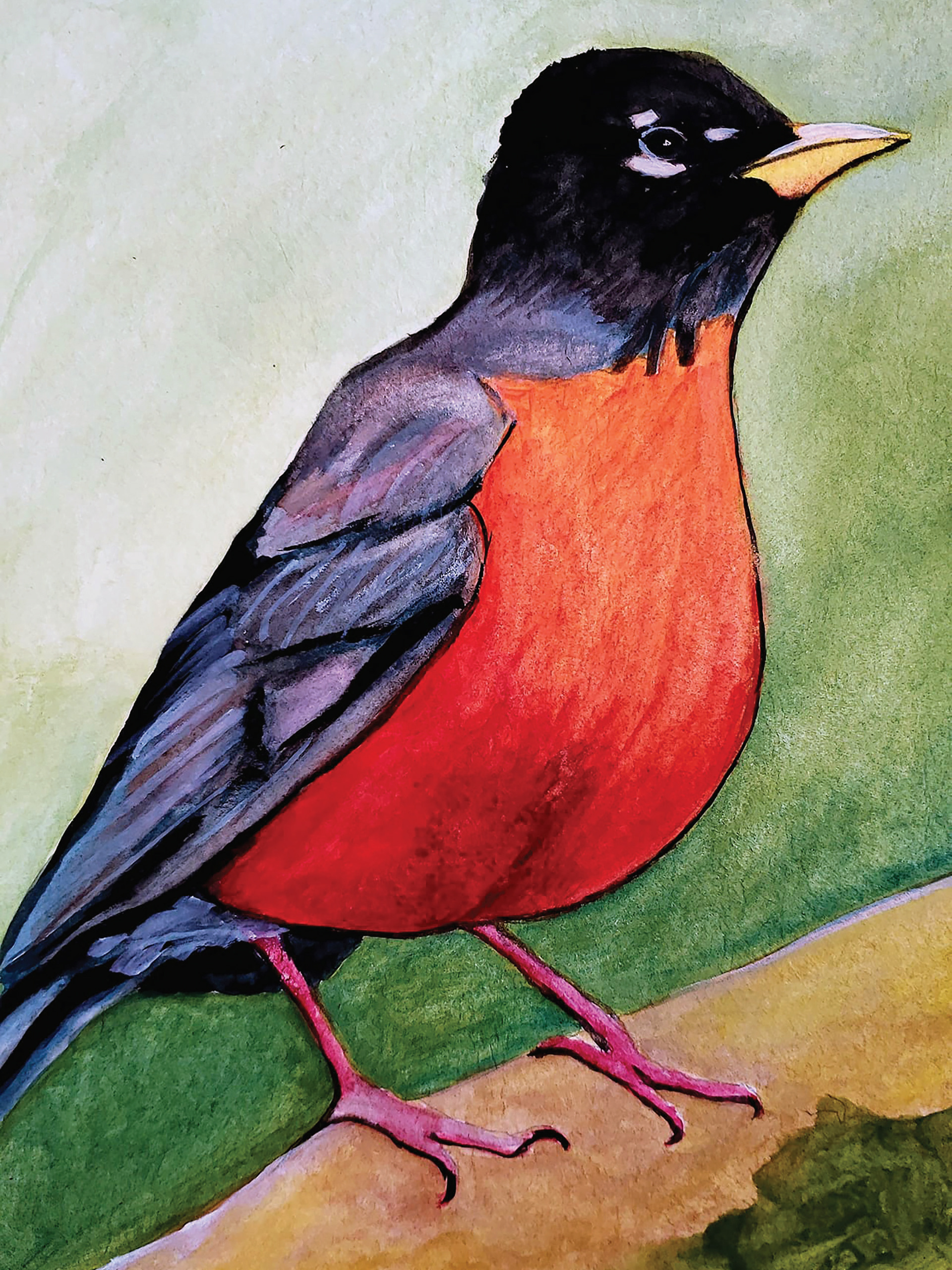 American Robin, 2019. Watercolor, 9" x 12"