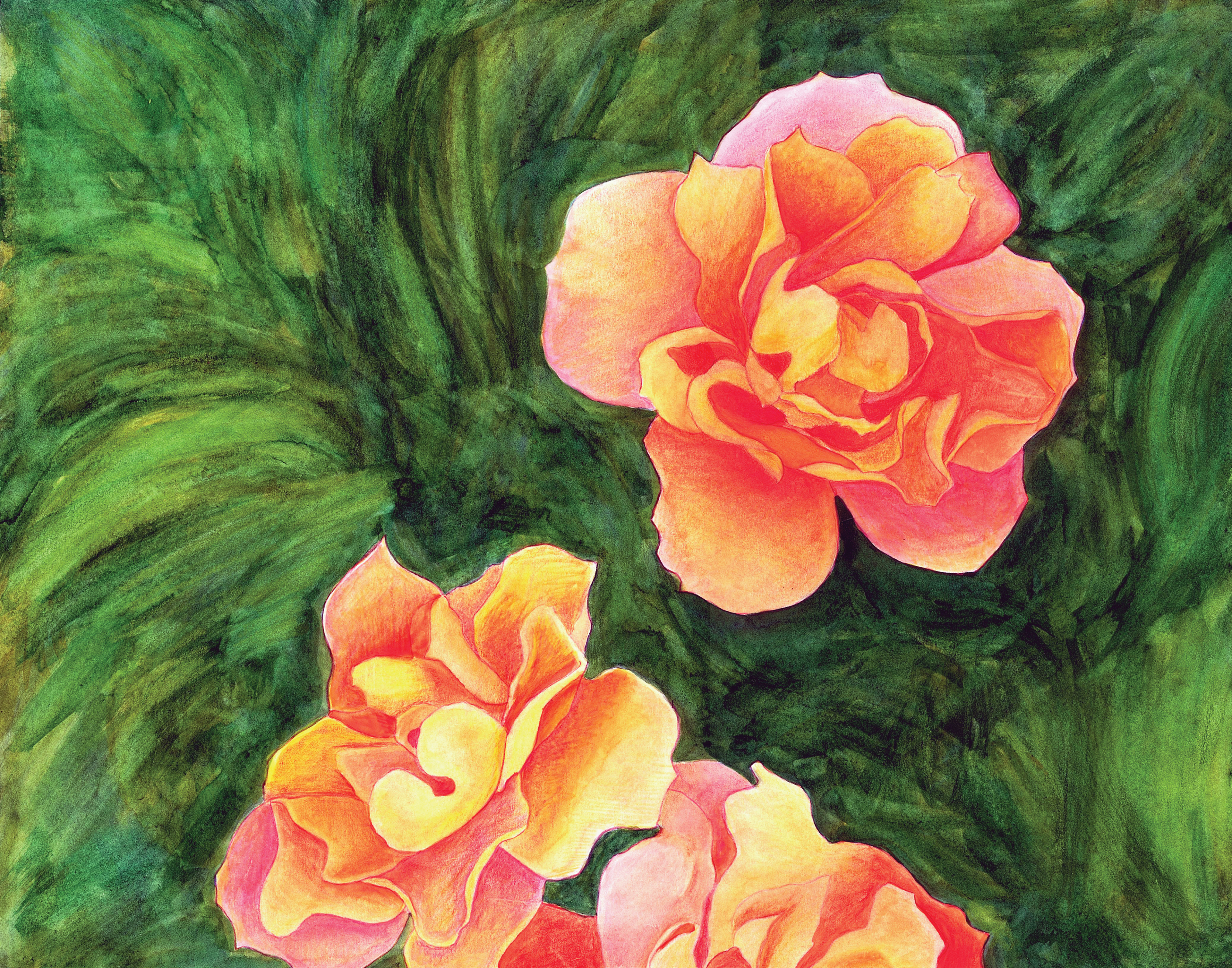 Tequila Sunrise Rose Bush, Santa Fe, NM, 2019. Watercolor and Colored Pencil, 10 x 14 inches.