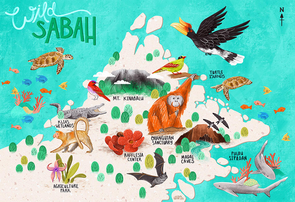 Wild Sabah