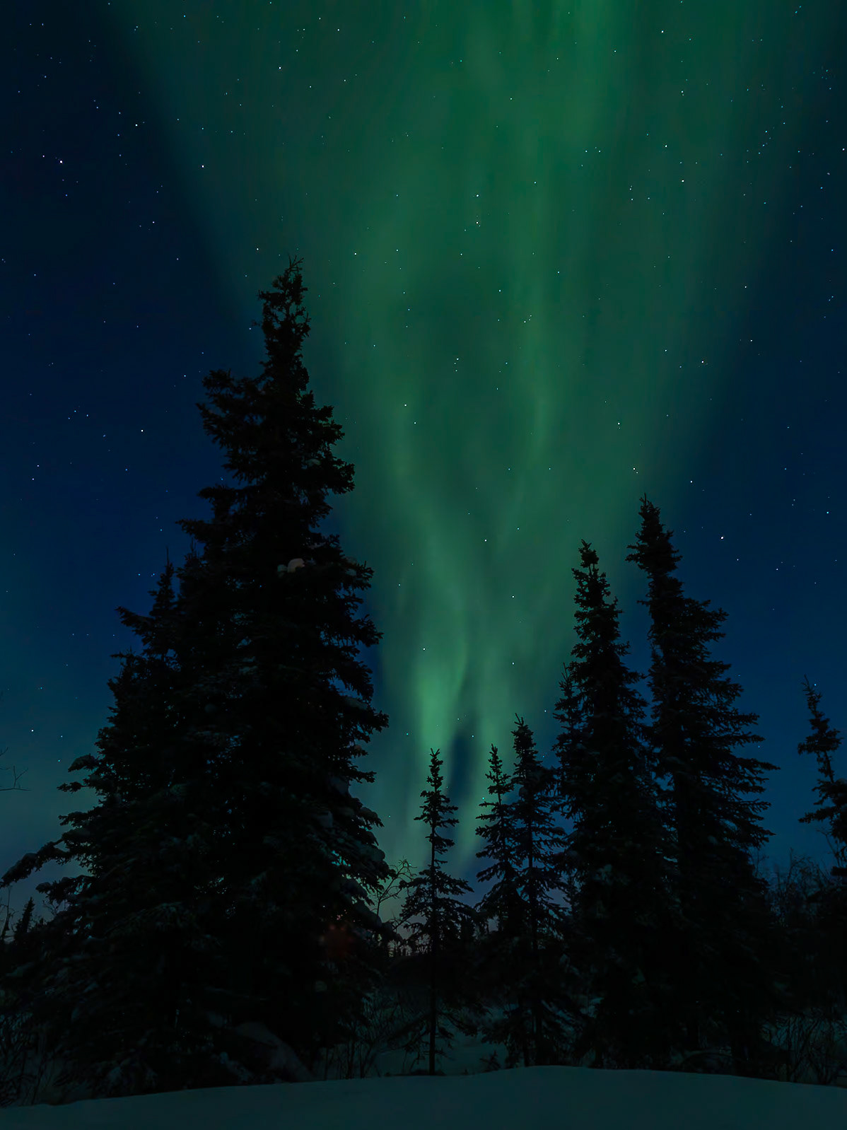 Aurora near Bettles, AK