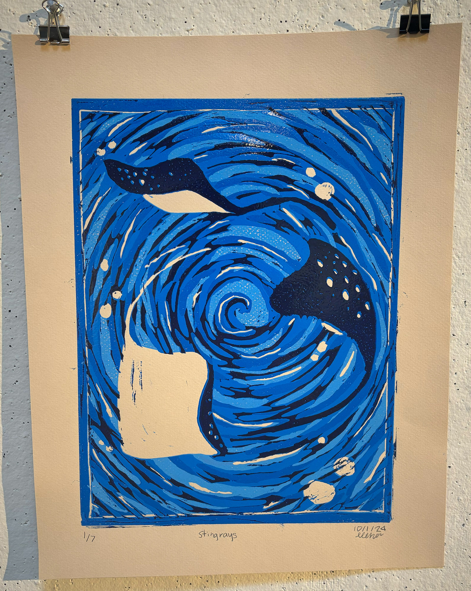 Stingrays, Reduction Relief 2024