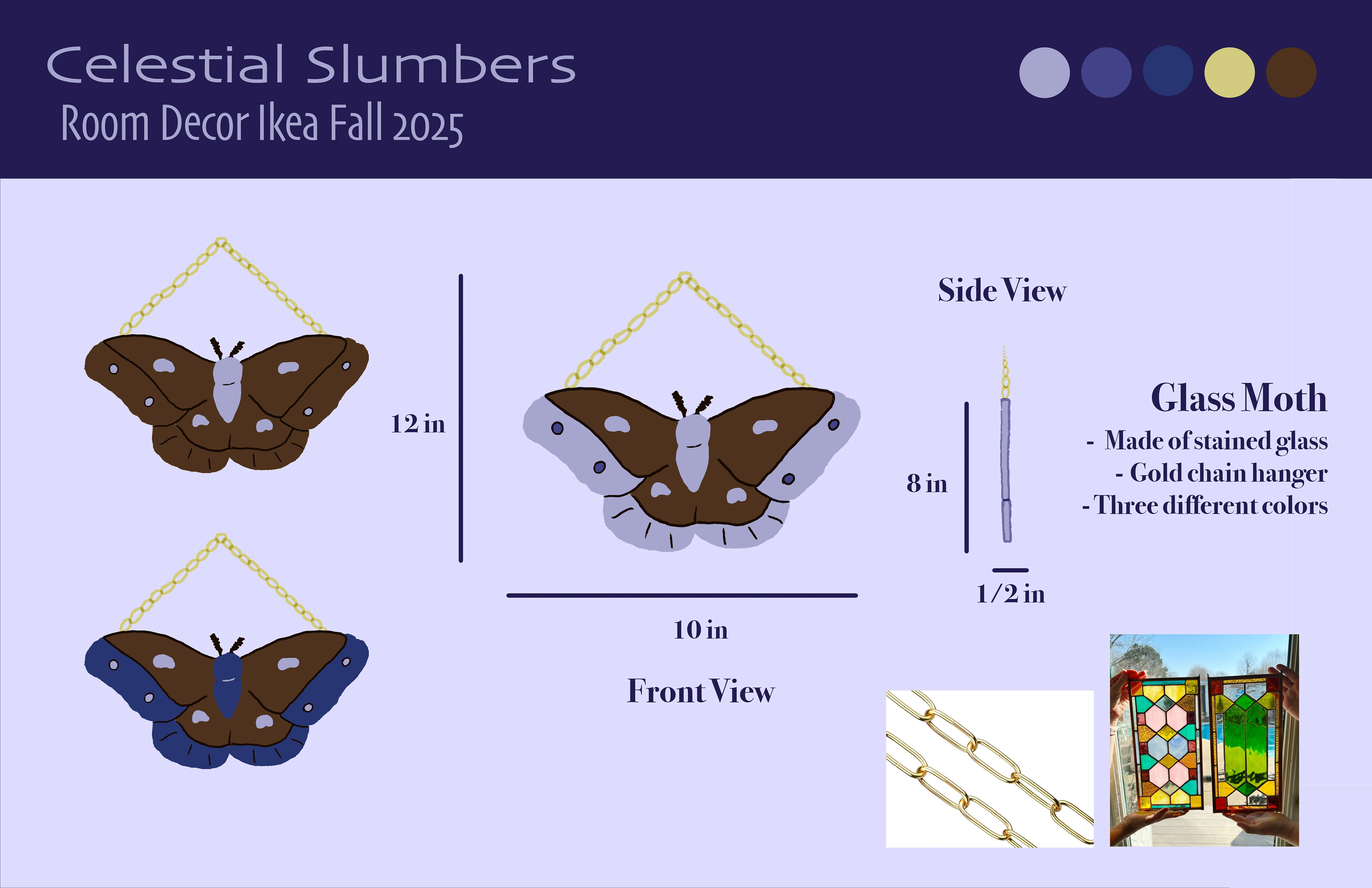 Glass Moth Overview
