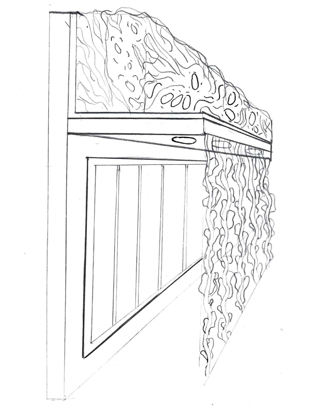 Hanging Vine Curtain Sketch