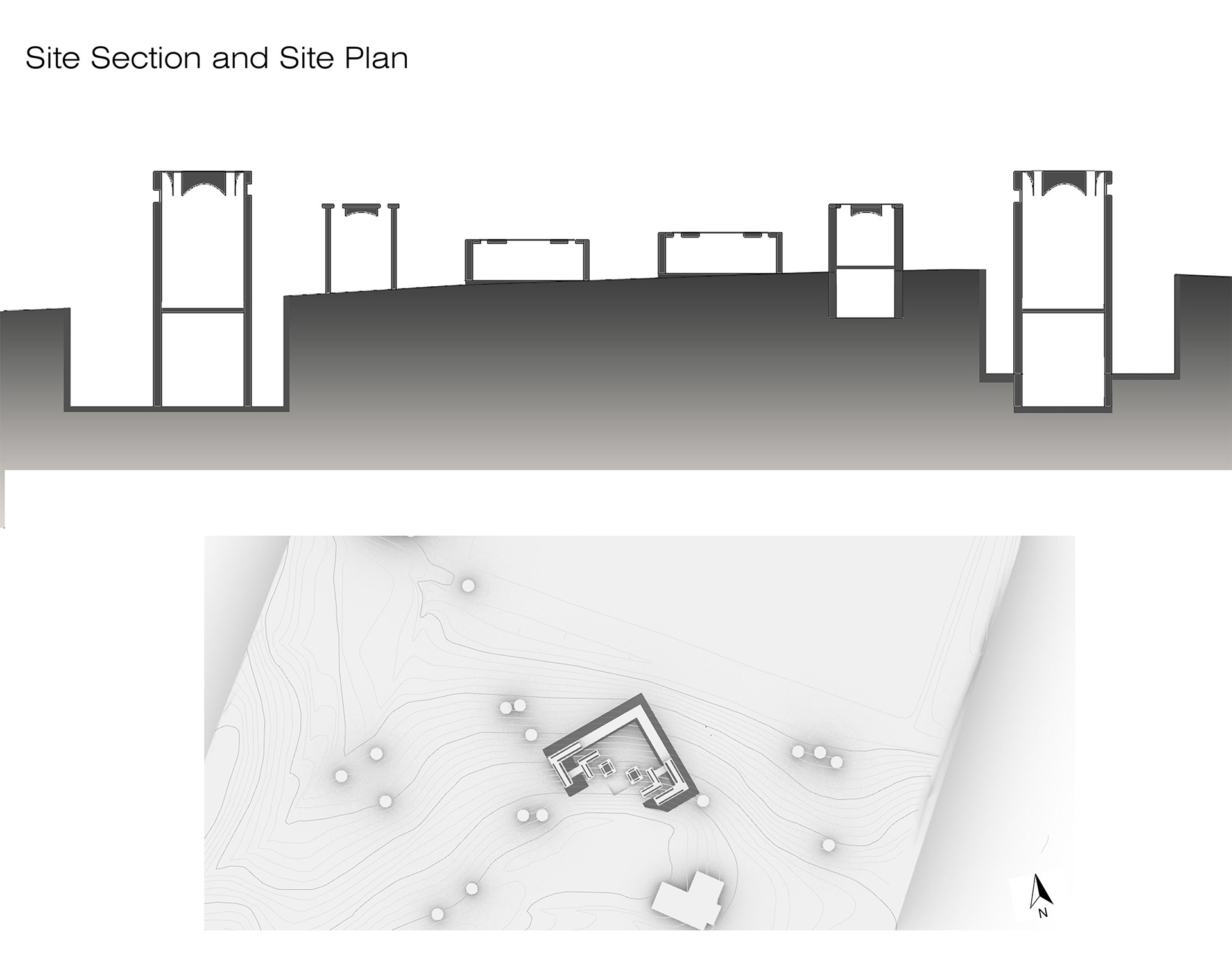 Site Section and Site Plan