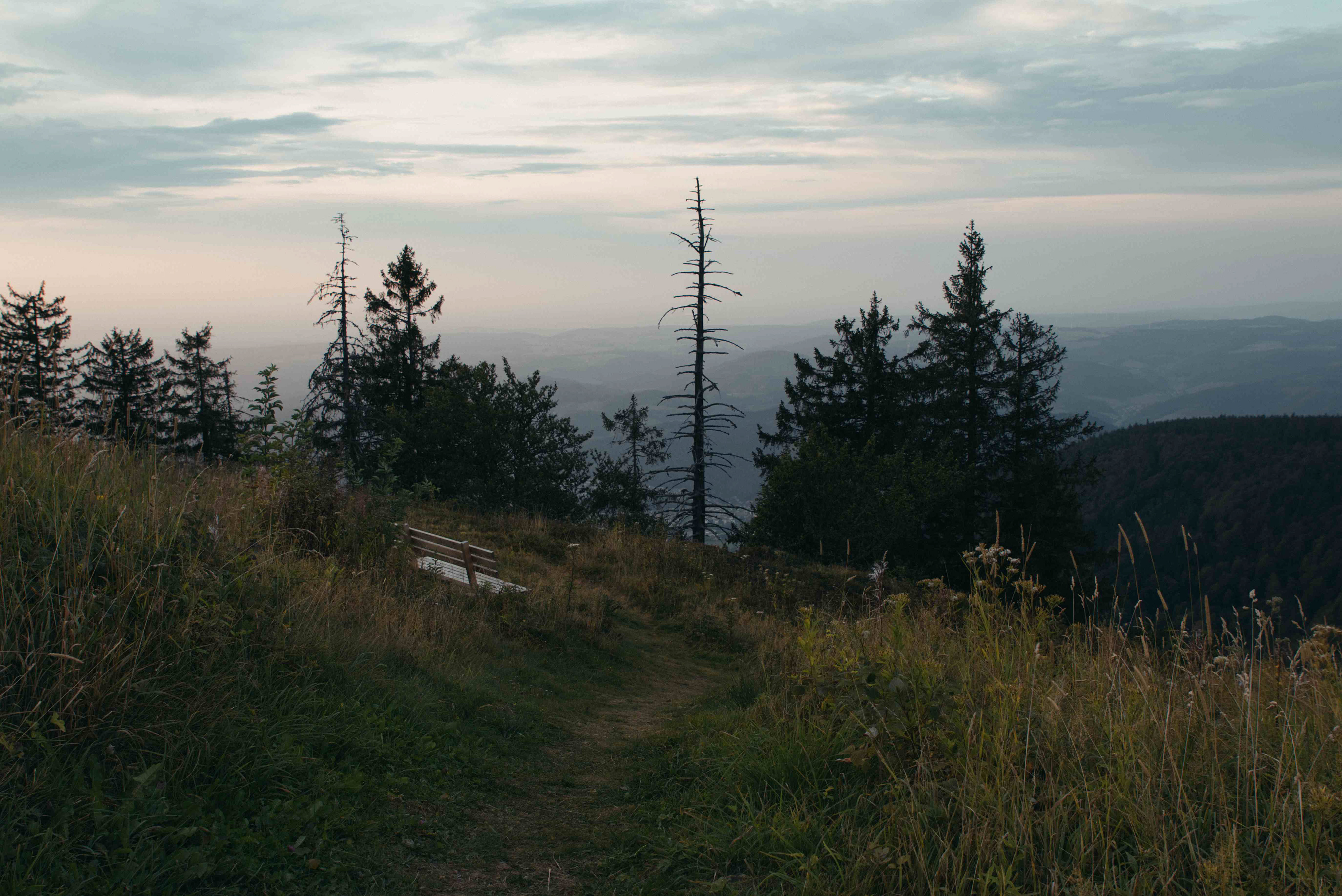 Kandelspitze (Schwarzwald)