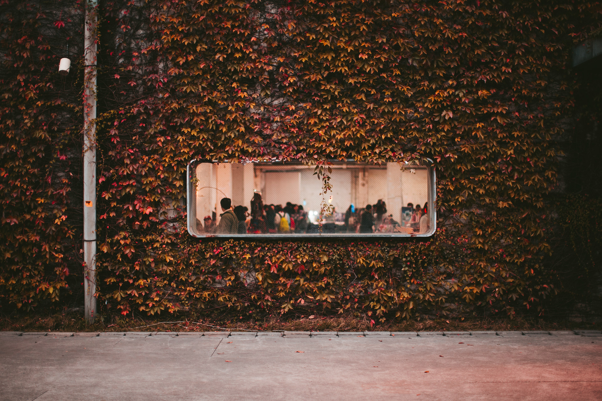 Mt. Hua Art District