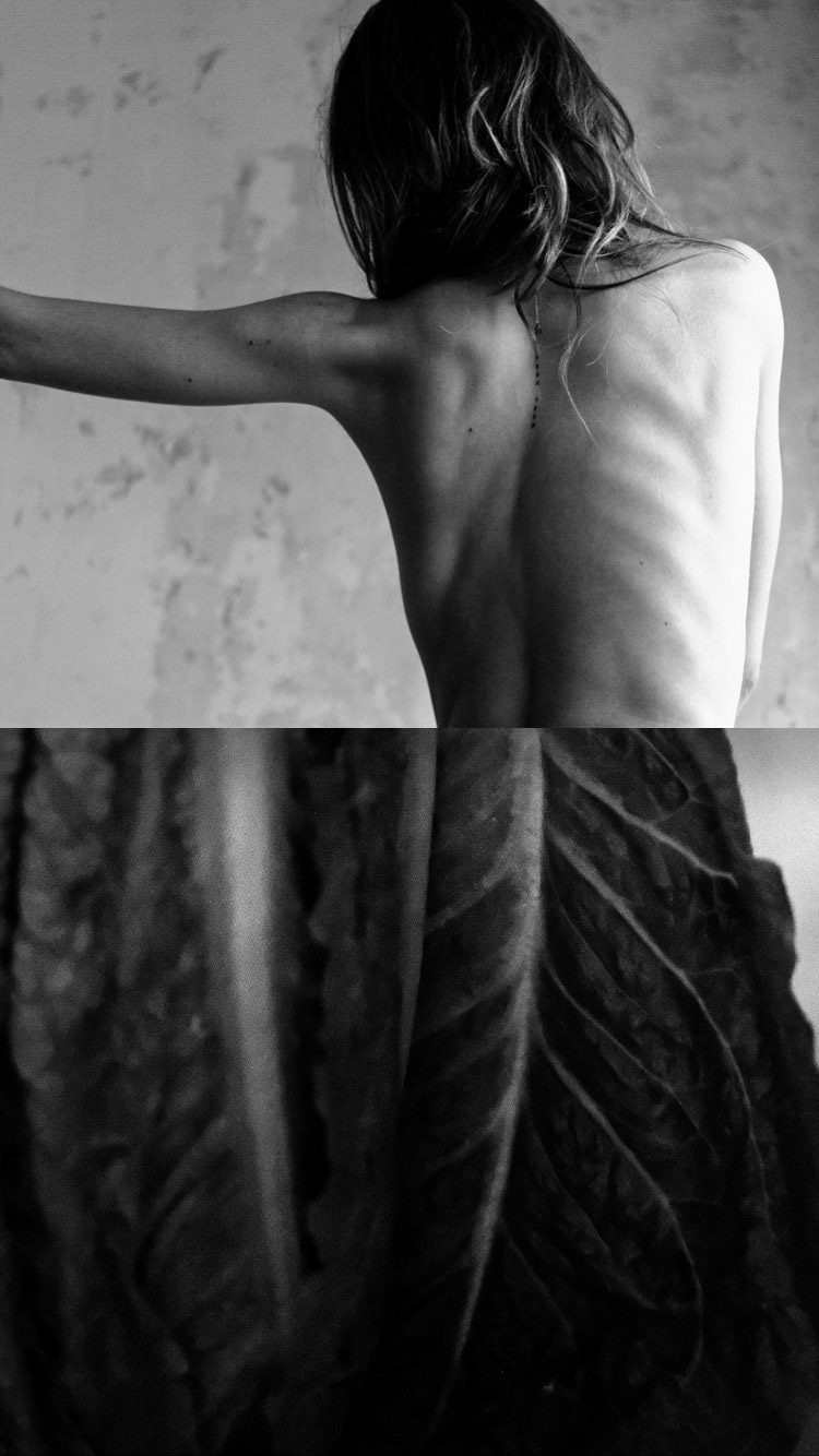 © María Romanillos. All rights reserved.