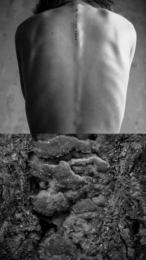 © María Romanillos. All rights reserved.