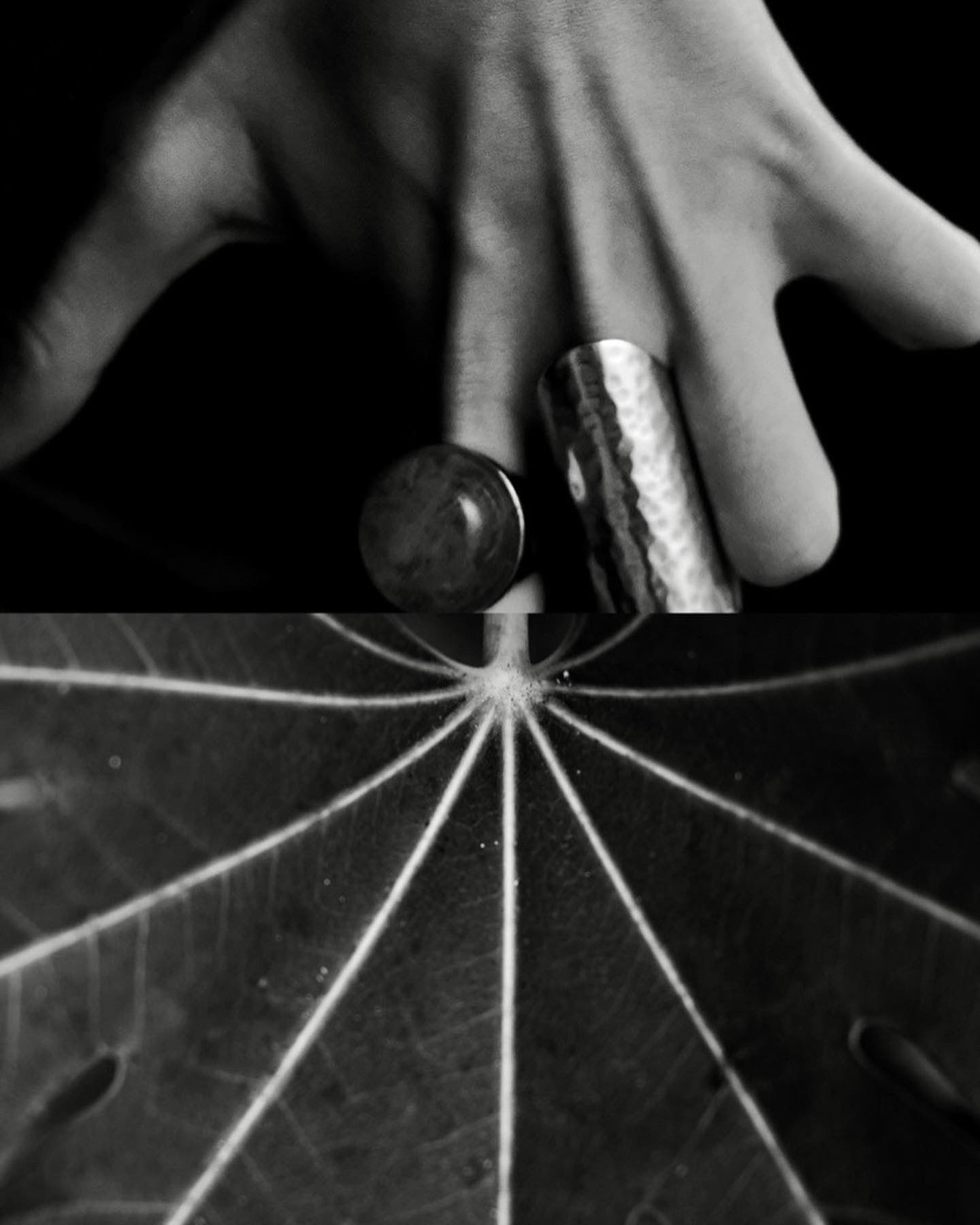 © María Romanillos. All rights reserved.
