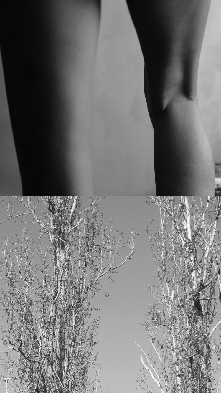 © María Romanillos. All rights reserved.
