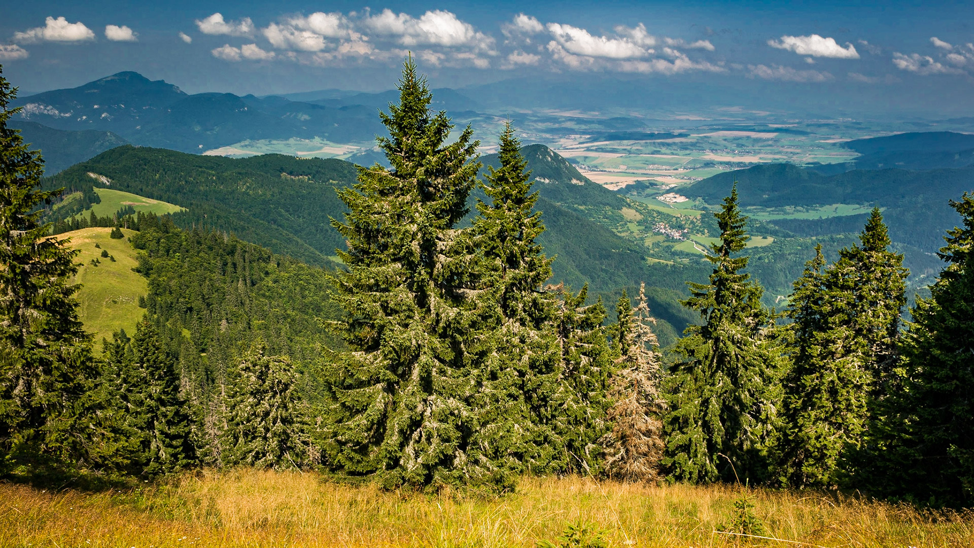 near Šiprún, from links Choč, Vlkolínec, Liptovská Mara, Tatry unfortunately in teh clouds