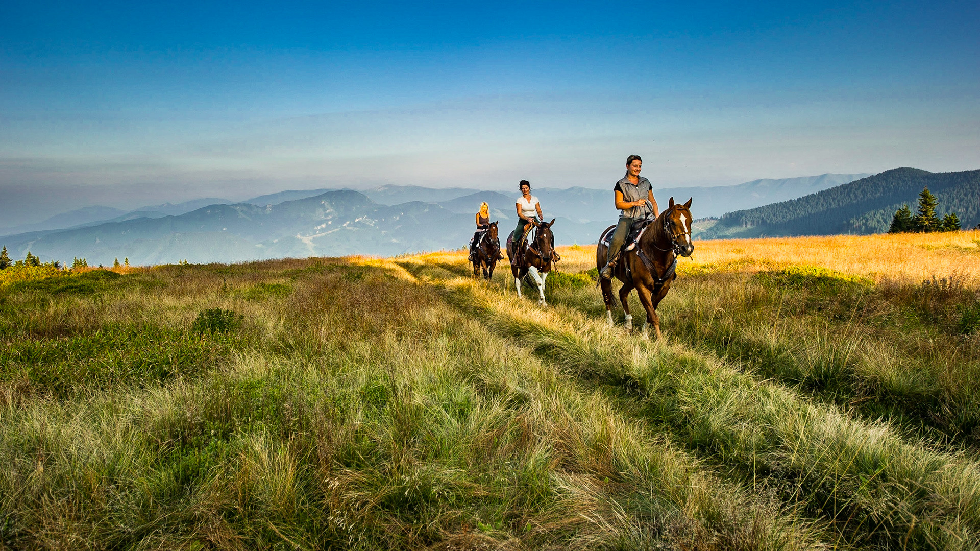 evening walk (for some ride)