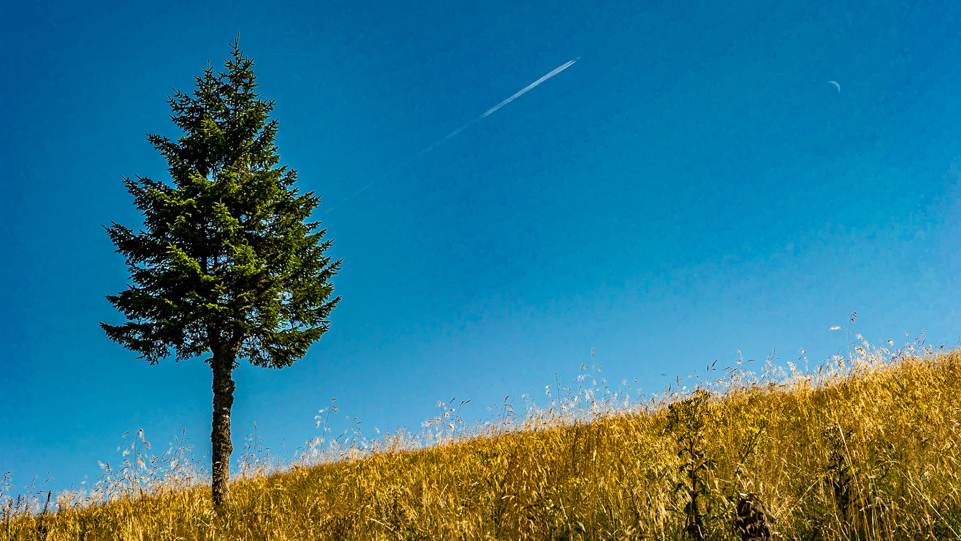 near Šiprún, from links Choč, Vlkolínec, Liptovská Mara, Tatry unfortunately in teh clouds
