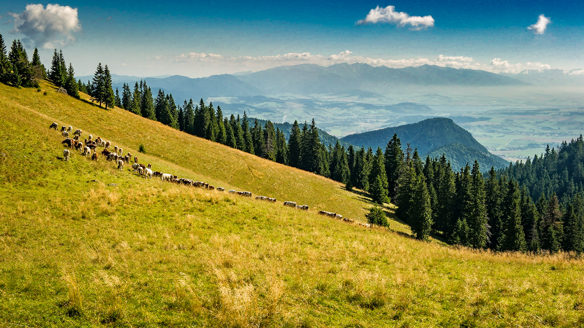 in the background Vysoké Tatry and Liptovská Mara
