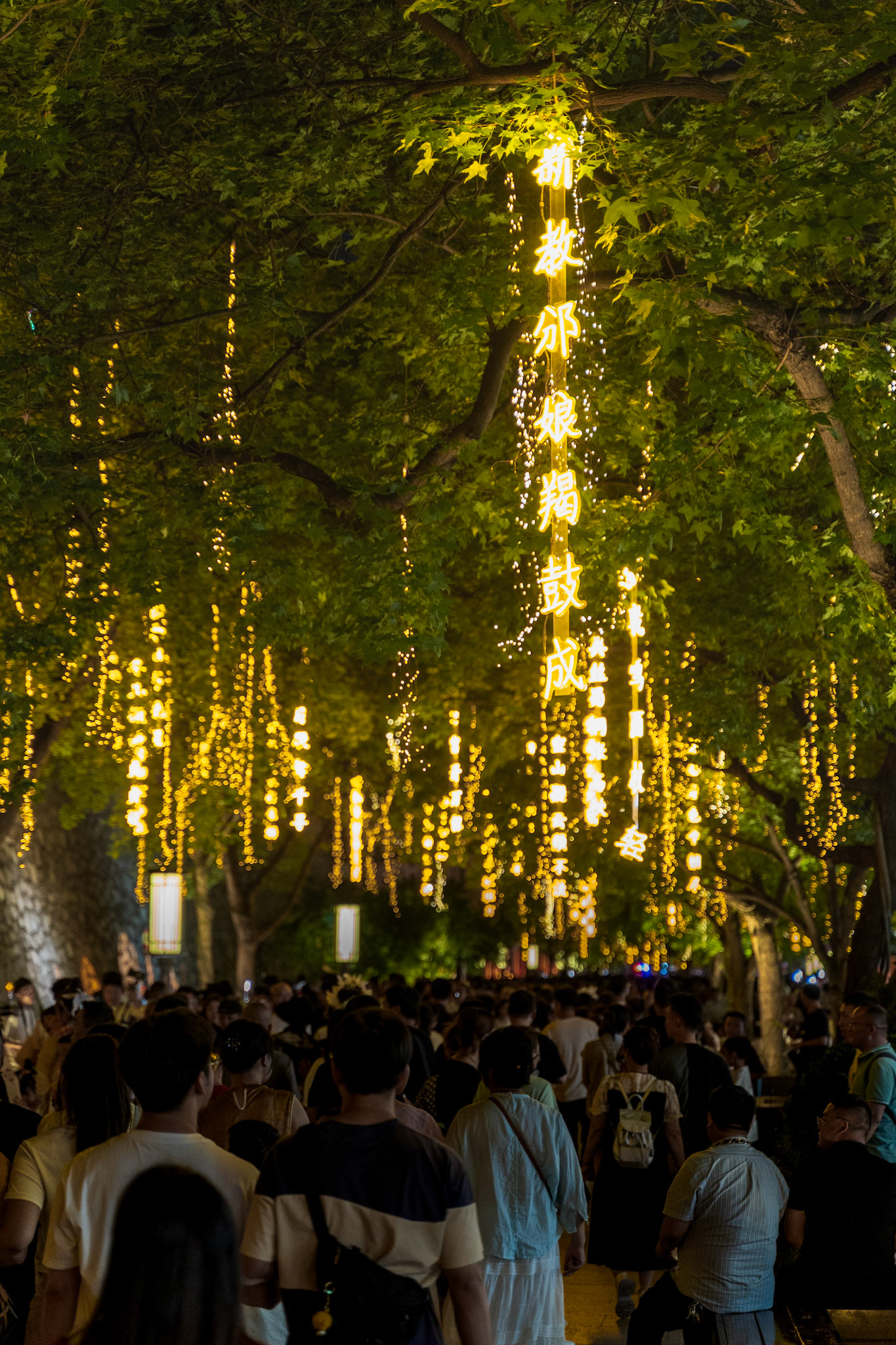 Crowd under illuminated hanging lights in park
