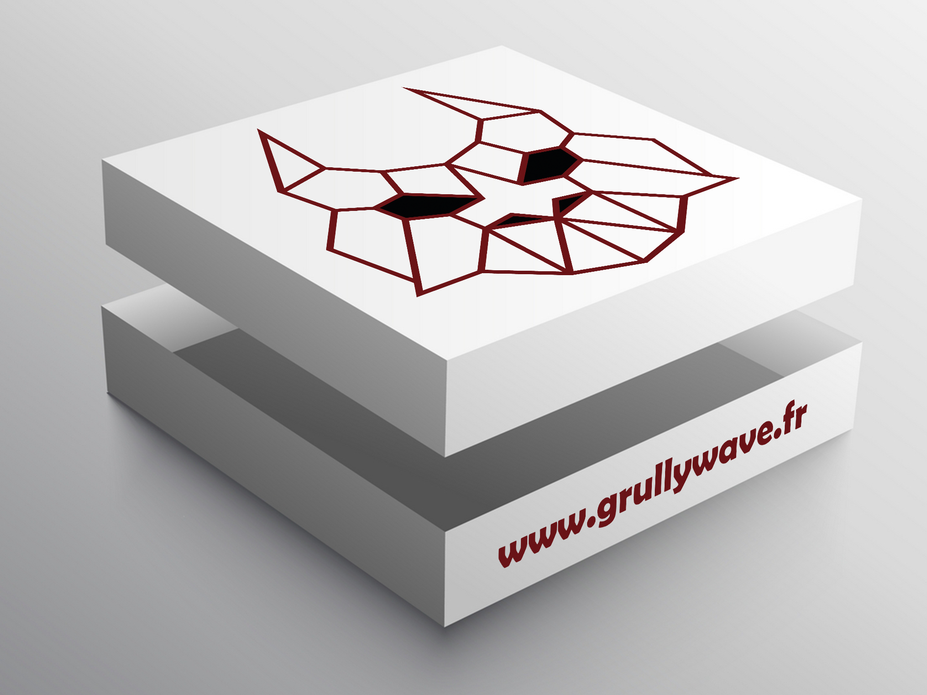 Maquette d'un packaging Grullywave