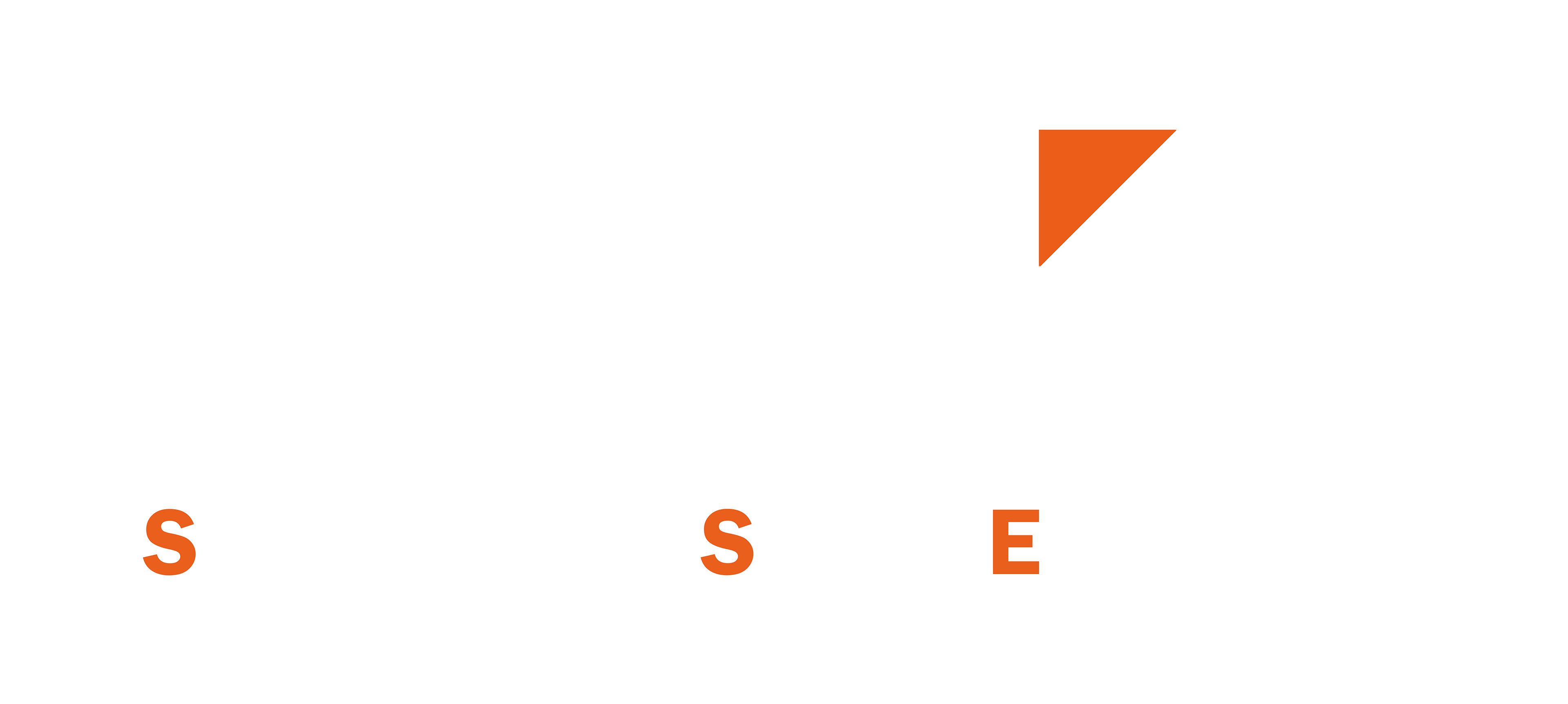 Logo SSE bicolore blanc classique
