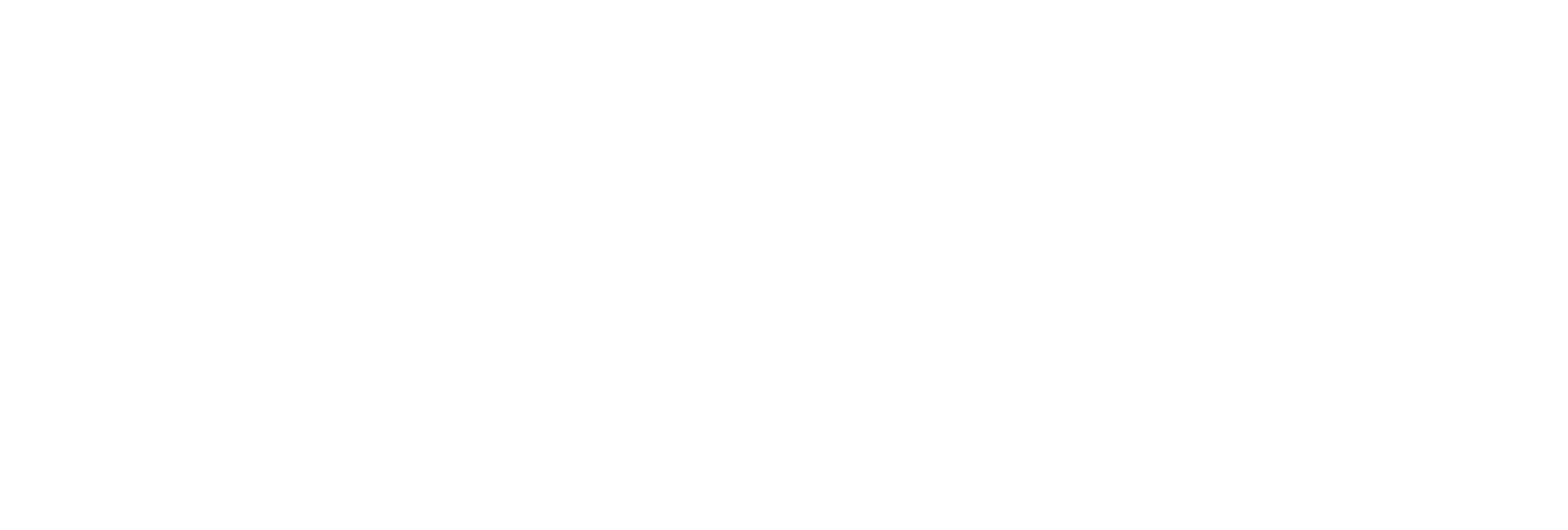 Logo SSE uni blanc étendu