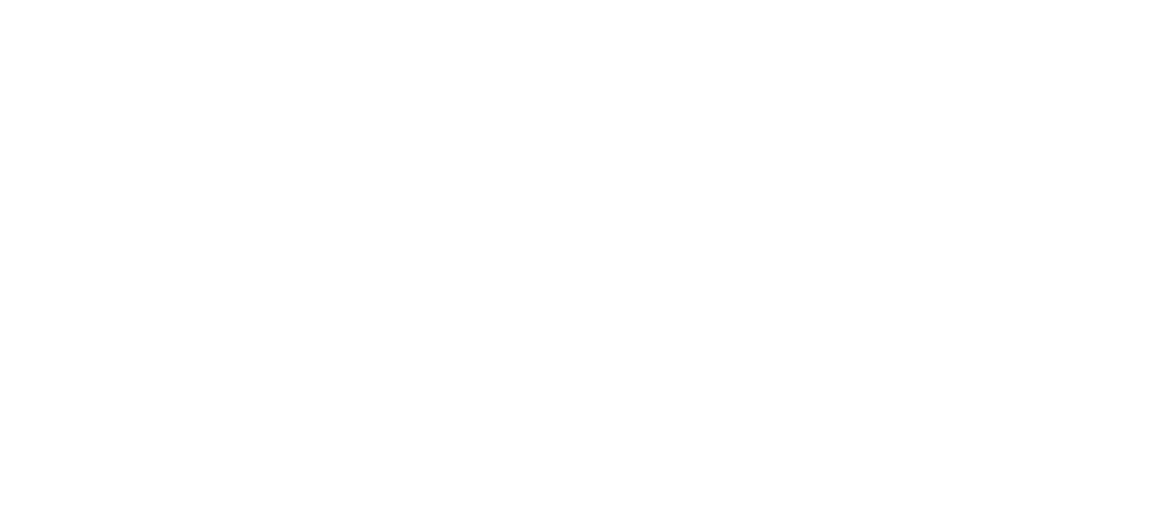 Logo SSE uni blanc classique