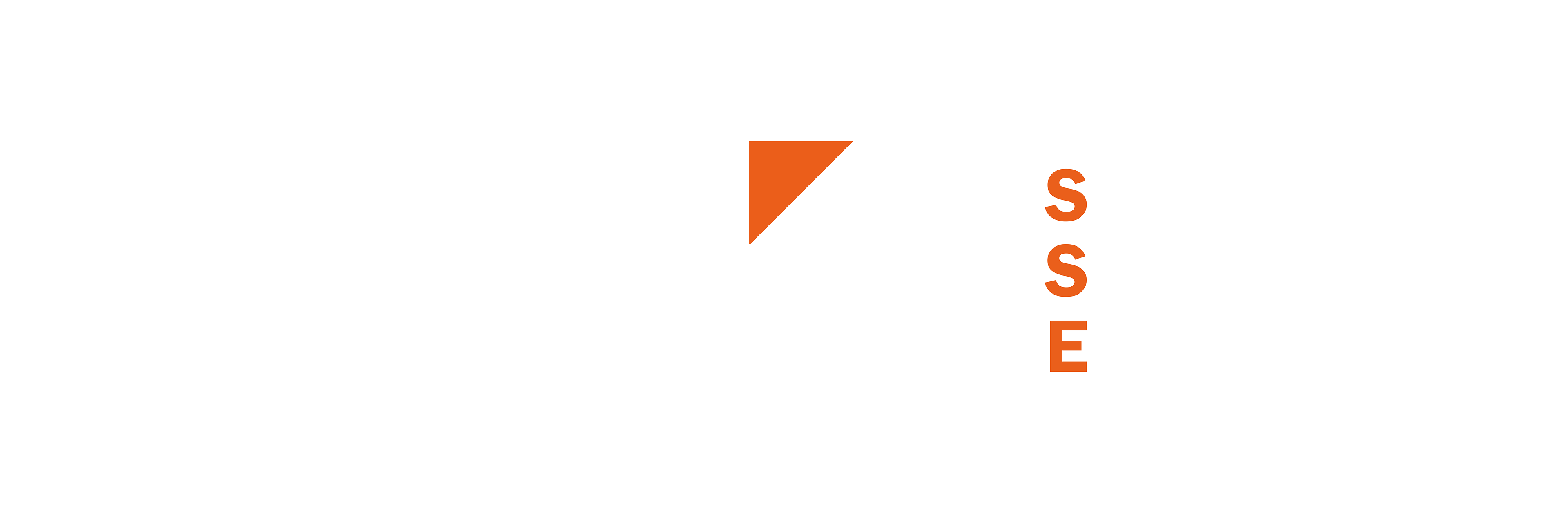 Logo SSE bicolore blanc étendu