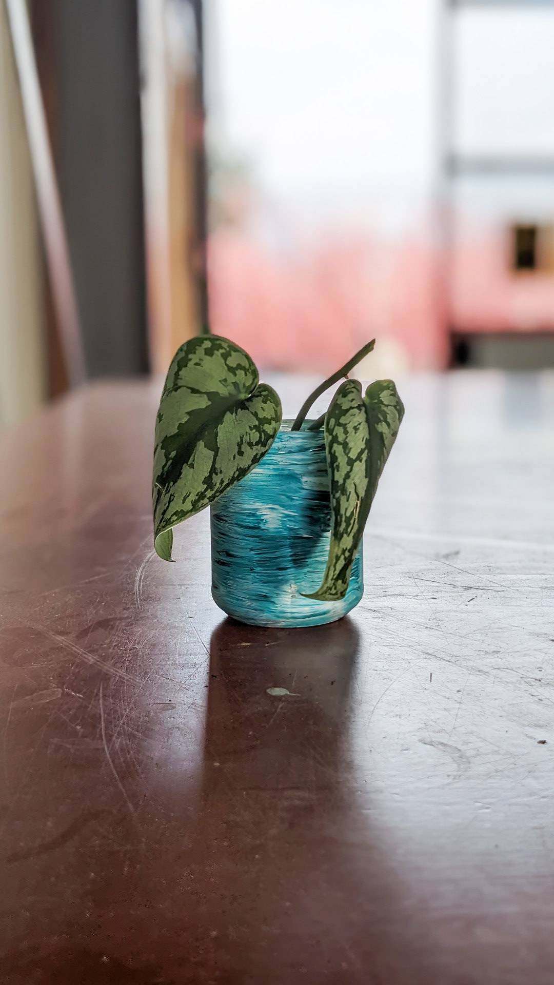 Olive jar • Satin pothos • “I like olives.”