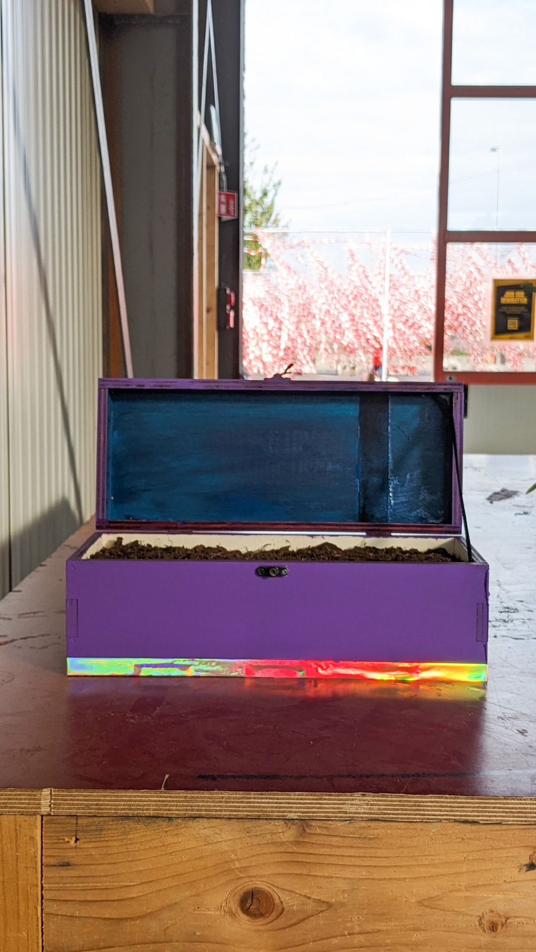 Alcohol wooden box • Seed bomb • “This was my friend's box. It came with a bottle of alcohol in it. I've always liked it and wanted to do something with it but I never found the right thing, so I brought it to this workshop to upcycle and now I’ve planted seeds in it. I’m glad to see it can finally be used for something!”