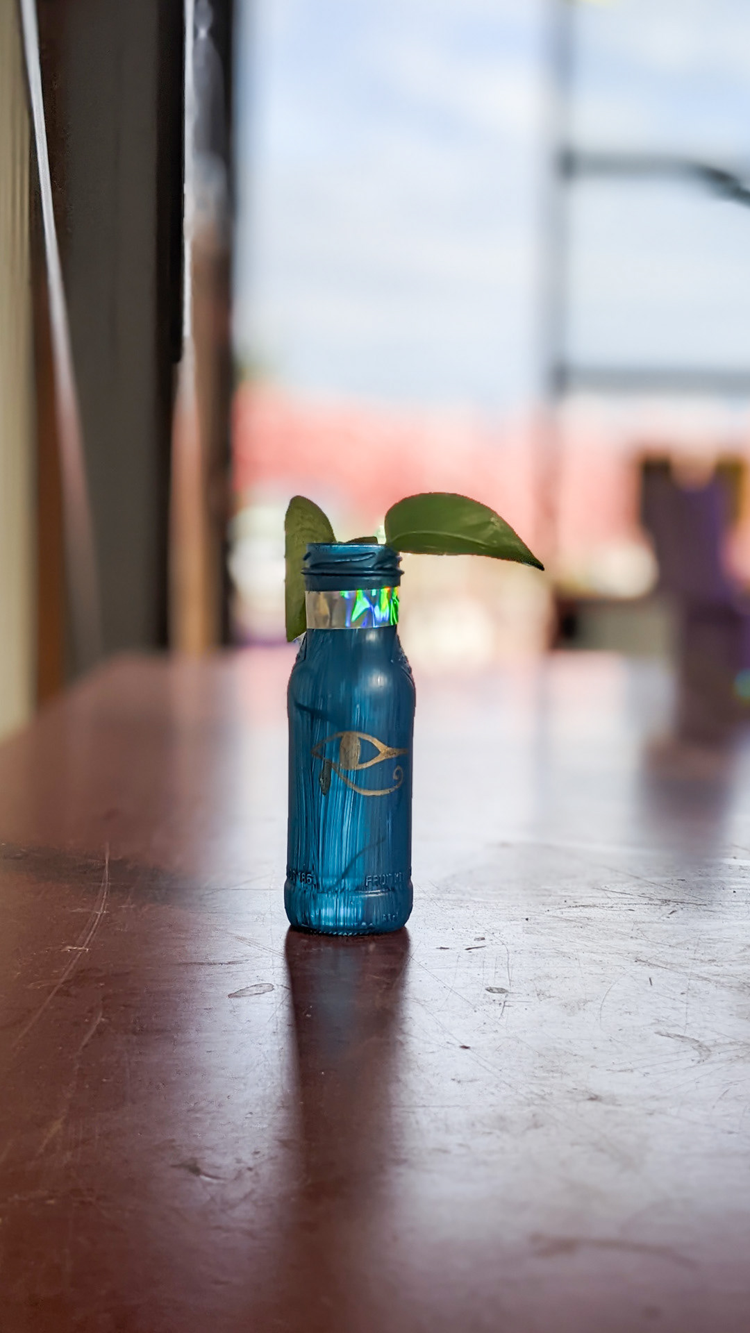 Small water bottle • golden pothos