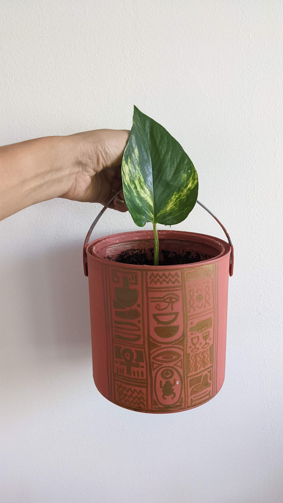 Terracotta paint bucket • Golden pothos • "Paint used to renovate my apartment in Amsterdam Noord, used to paint our bedroom. Once the paint was used up we had no use for the leftover paint, so I painted the outside of the bucket itself in terracotta. I wanted to decorate it more so I chose an Egyptian theme I thought matched the earthy tone and drew gold symbols on it with a marker."