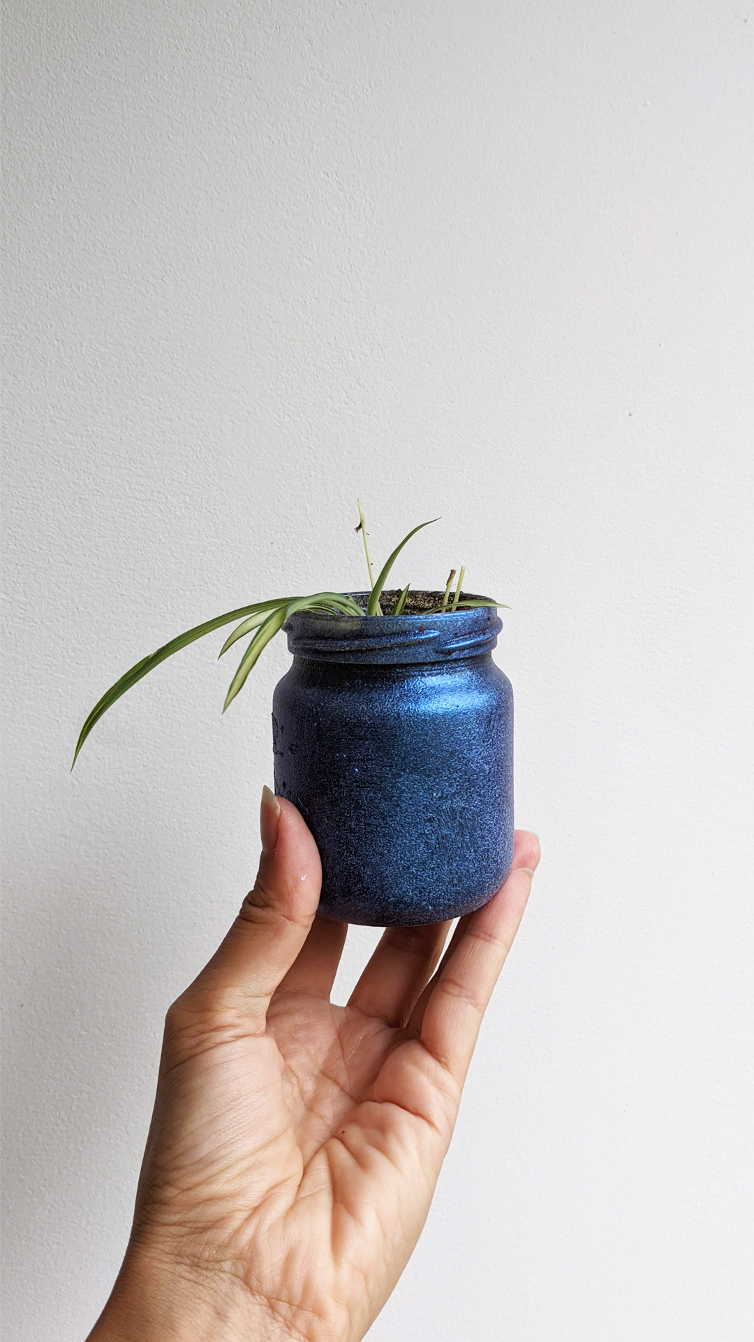 Vuna jar • Spider plant • “As a vegan, I’ve tried many of the existing meat alternatives you can find at the supermarket. This jar comes from a tuna imitation called vuna. Gotta admit, it’s a funny name!”