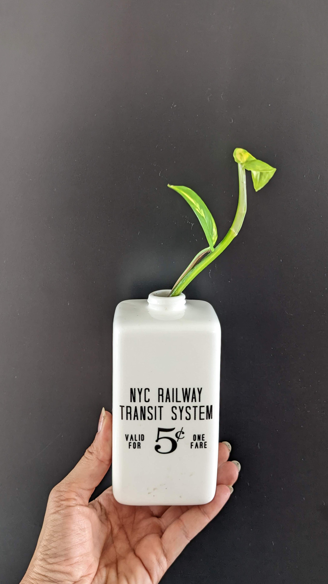 NYC Transit soap dispenser • Golden pothos • "I found this when I got sucked into organizing a random storage room. The room belongs to my landlord but because it’s next to where I do my laundry, I couldn’t take the mess. I kept this when clearing out the room"