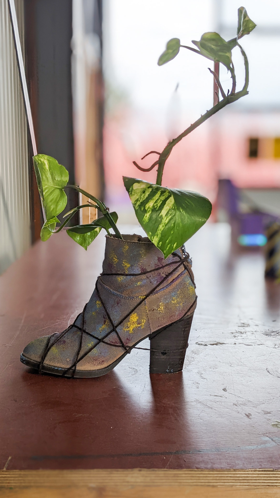 Ankle boot • golden pothos • “I really hated this pair of shoes. They really hurt my feet. For some reason I brought them here to Amsterdam all the way from the USA. But maybe I brought them here for this reason - to transform them in a workshop into a plant pot.”
