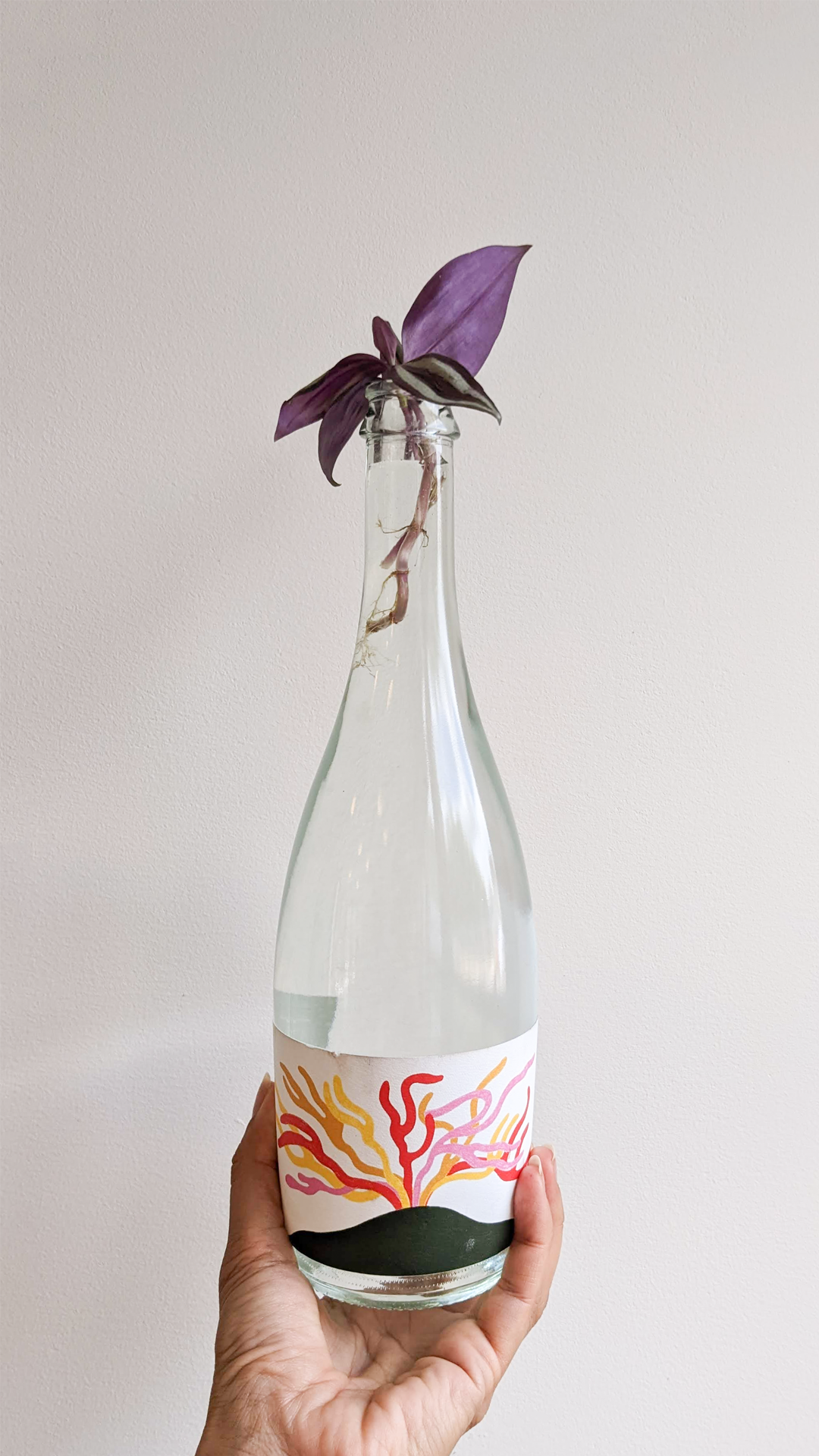 Ibi apollo wine bottle • Trandescantia • "Chateau Karlito is a small natural wine store in North Amsterdam. I feel like it's a thing that natural wines have unique designs on their bottles completely different to traditional wines you find at supermarkets. Each one is like a work of art."