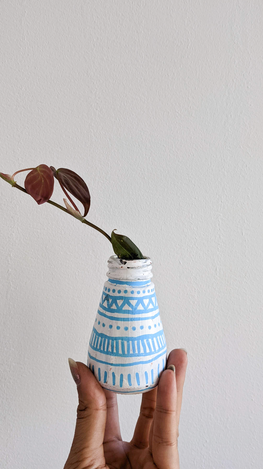 Cumin spice bottle • Philodendron micans • "I used this cumin spice bottle for cooking. When it finished, I thought it would be nice to use for this project but I don't think the empty glass bottle is that nice looking. So I painted it with a pattern to decorate it."