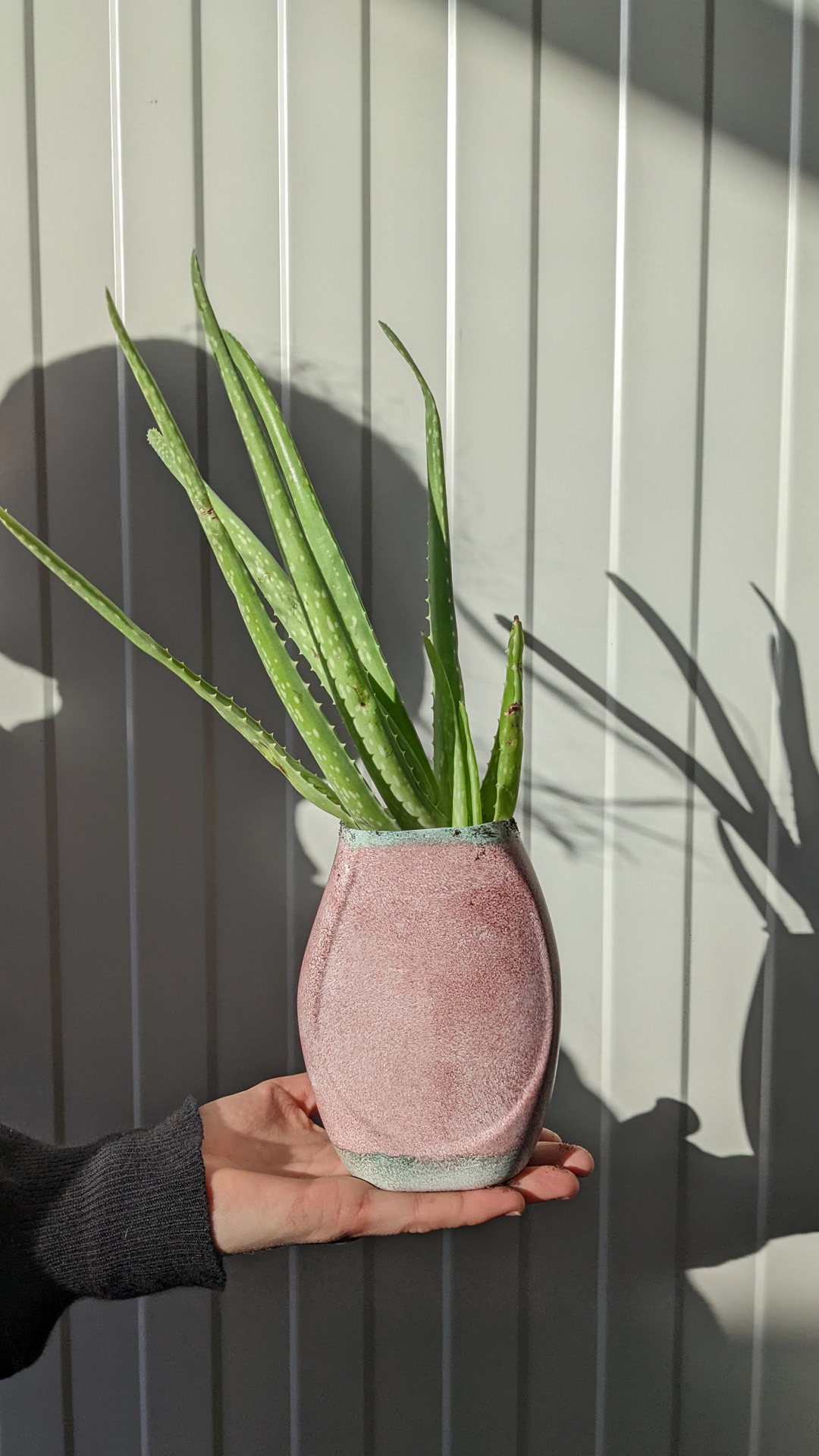 Laundry detergent bottle • aloe vera • “Nothing beats freshly washed bedsheets.”