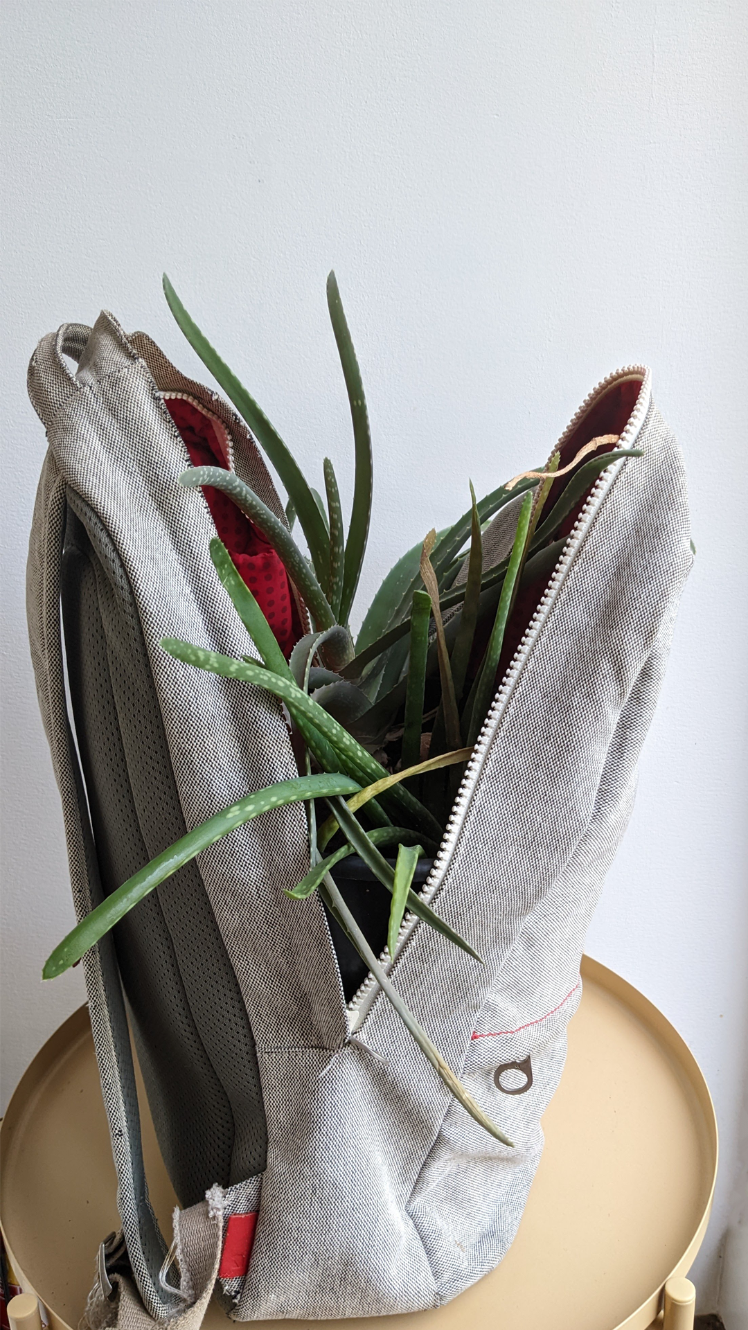 Incase backpack • Aloe vera • “This backpack has been with me for over 10 years and travelled along from my old, misaligned life into the new, nourishing way of being. I actually wanted to repair the backpack and give it a new life, but when I heard about this project it actually felt so right to give this fella a little rest.”