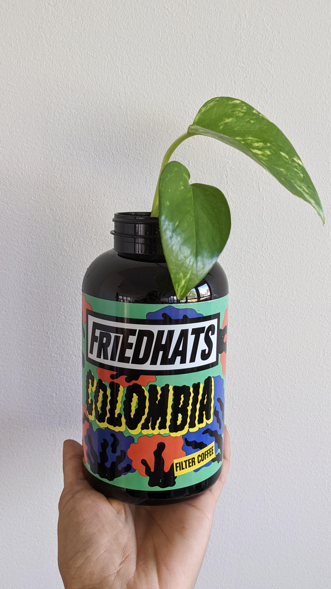 Friedhats Colombia coffee bottle • Golden pothos • "This really cool packaging is from a coffee roaster in Amsterdam Bos en Lommer called Friedhats FUKU. They use vitamin bottles for their coffee beans. Their small cafe can easily be missed, but the coffee is great! They even have a little garden where you can sit."