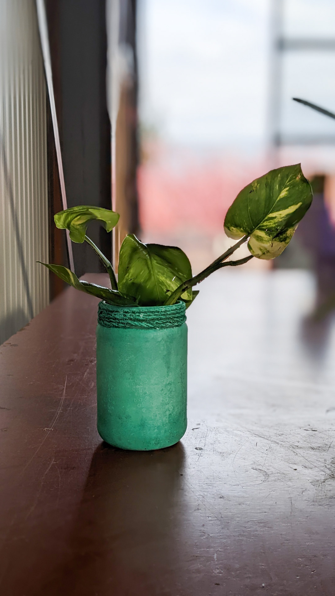 Peanut butter jar • golden pothos • “Even more peanut butter. I collect my husband's peanut butter jars.”