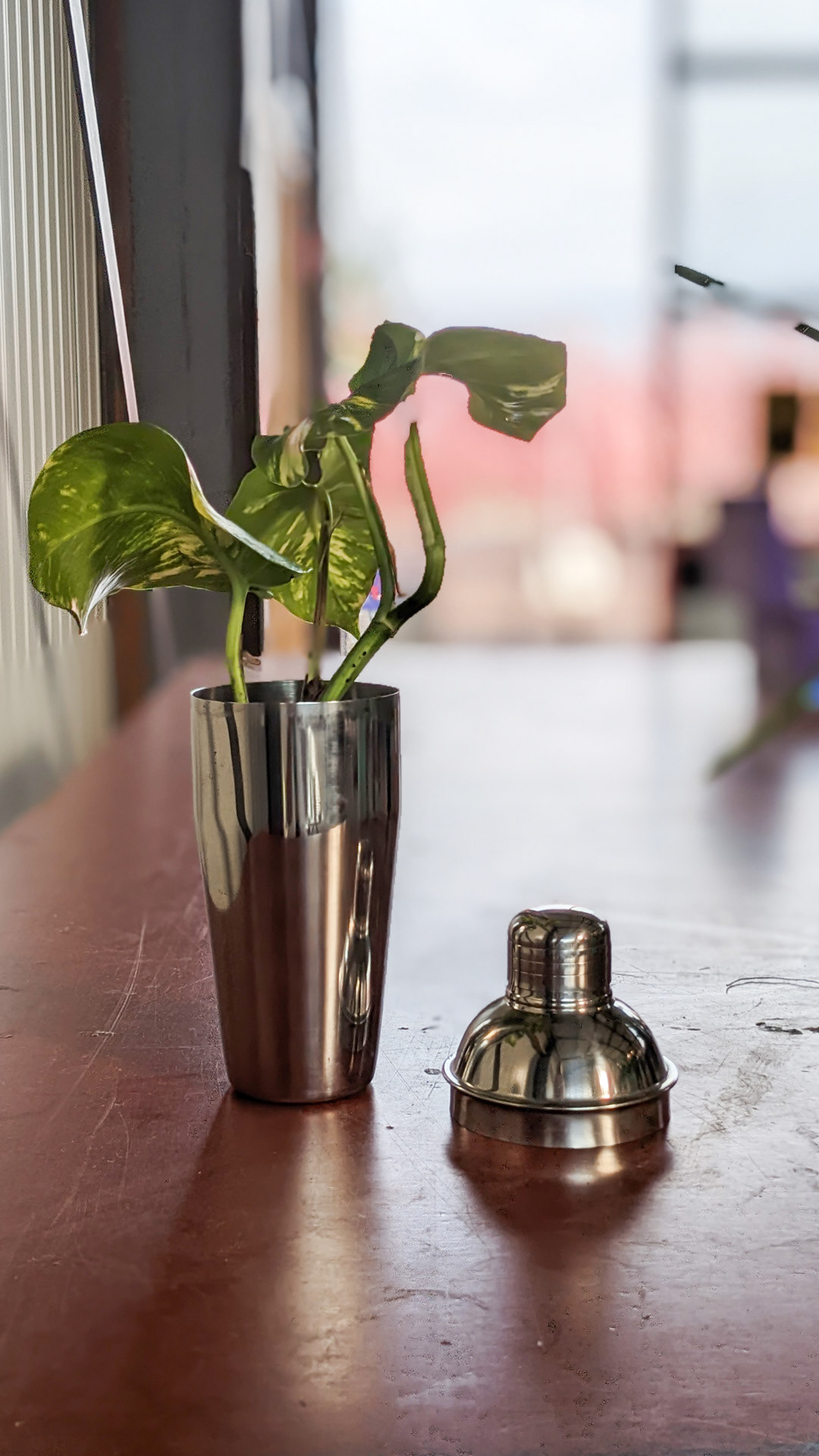 Cocktail shaker • golden pothos • “This is called moving & shaking. It's representative of my life, which is constantly moving & shaking. It’s what makes it so beautiful and exciting.”