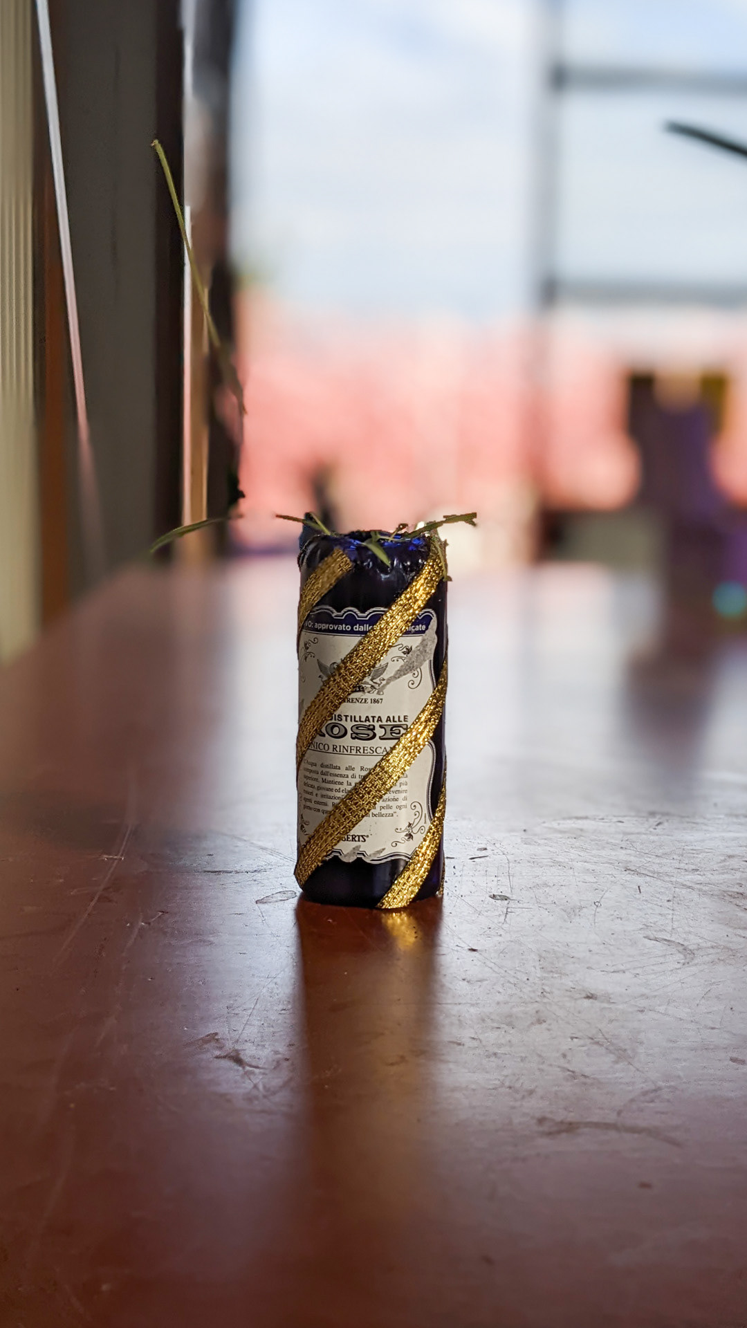 Water bottle • spider plant • “I thought this water bottle design was very nice, so I felt bad throwing it away. I like being able to reuse it for something else in this workshop.”