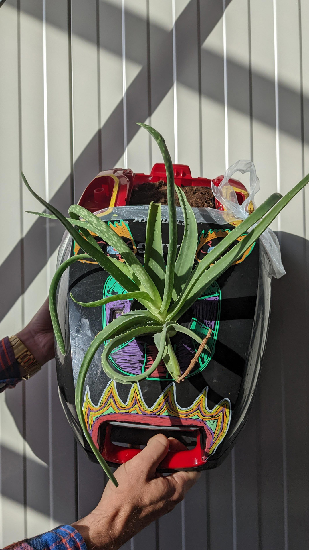 Vacuum cleaner • Aloe vera • “I found this vacuum by the garbage outside my house. It's giving dirt a new life.”