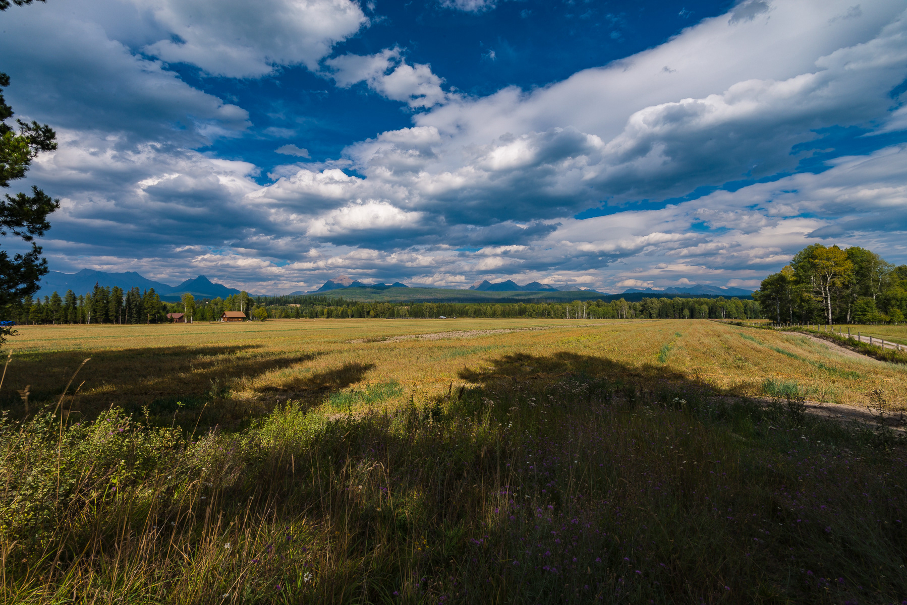 Northwestern Montana 
