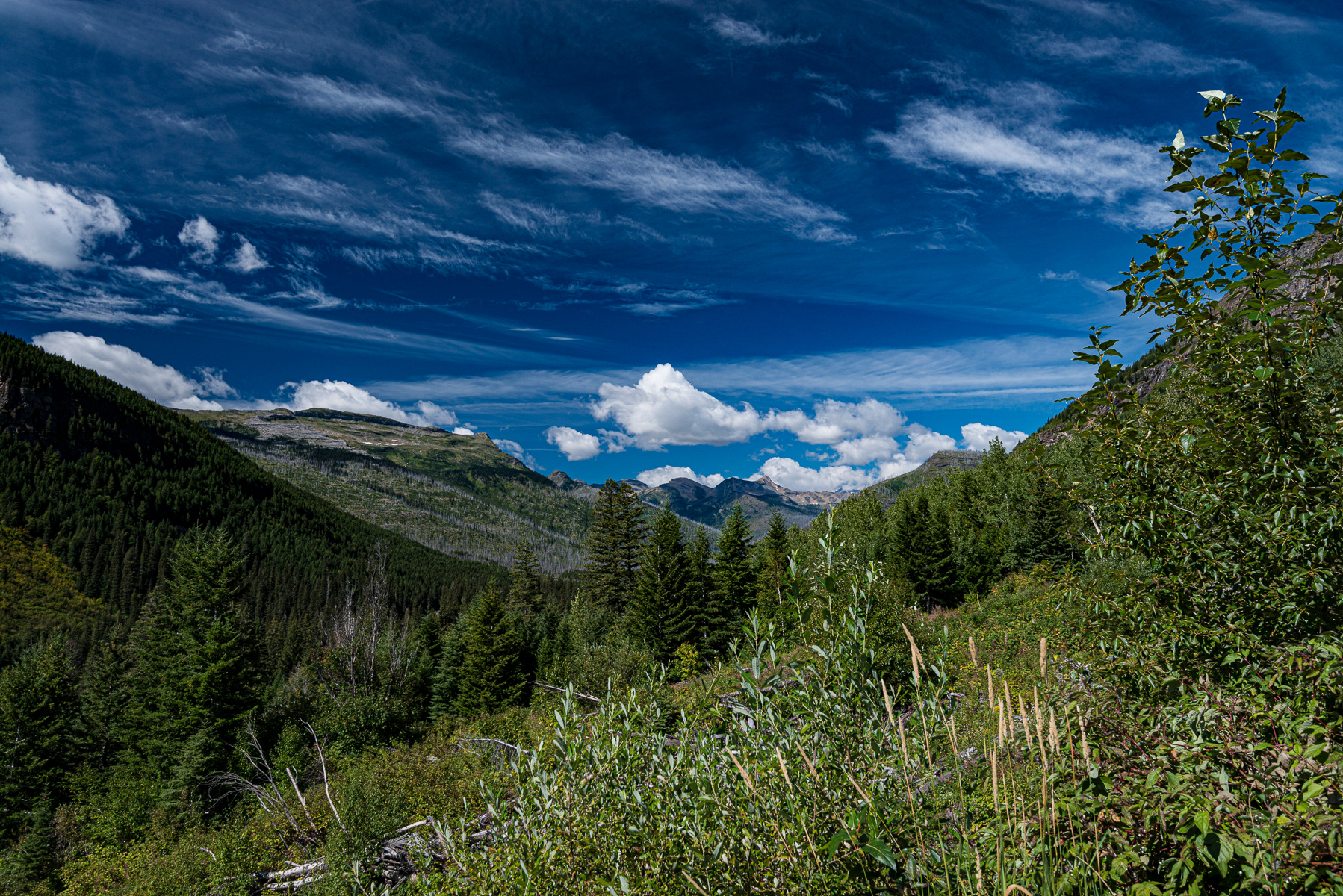 Glacier National Park