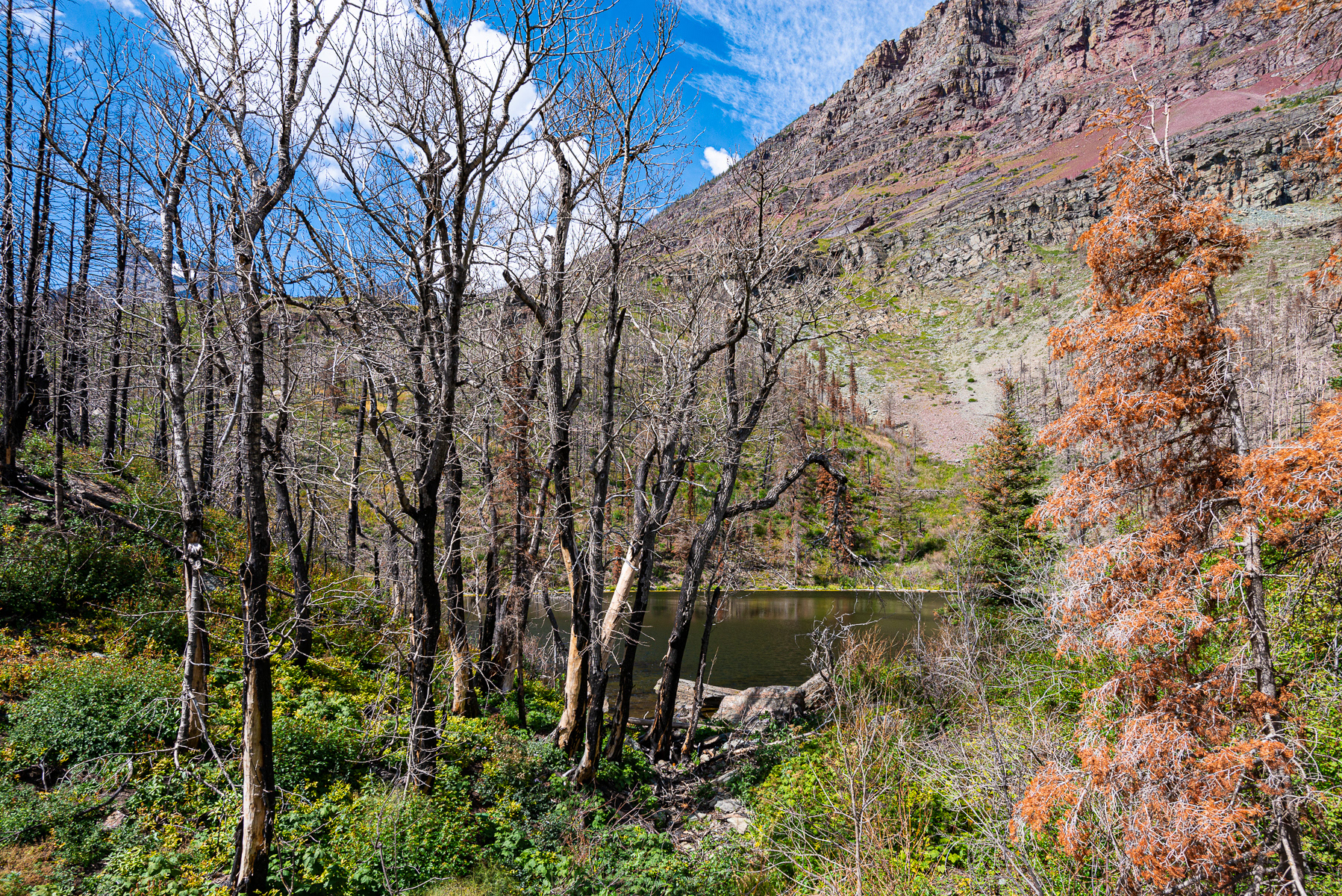 Glacier National Park
