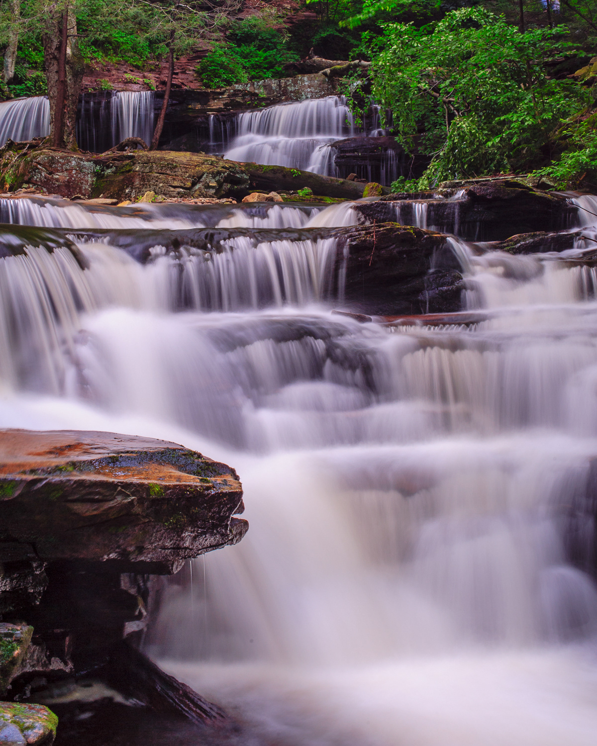 Ricketts Glen State Park, Pennsylvania