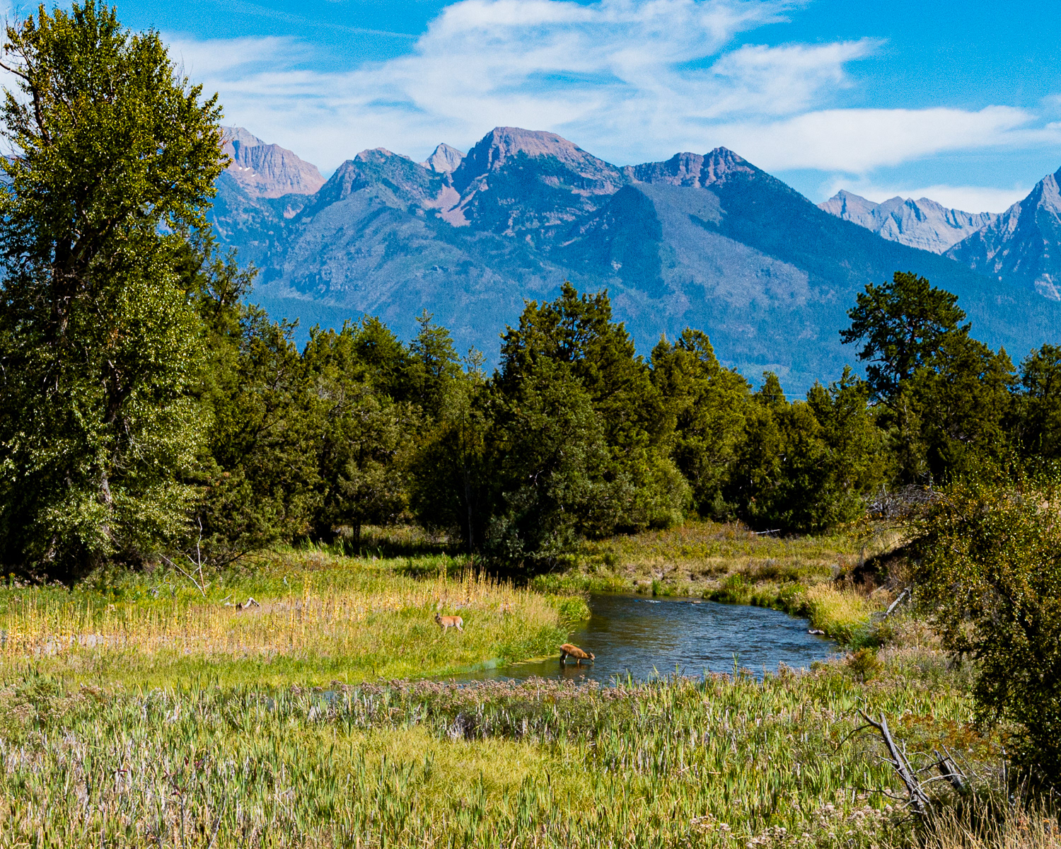 National Bison Range, Moiese