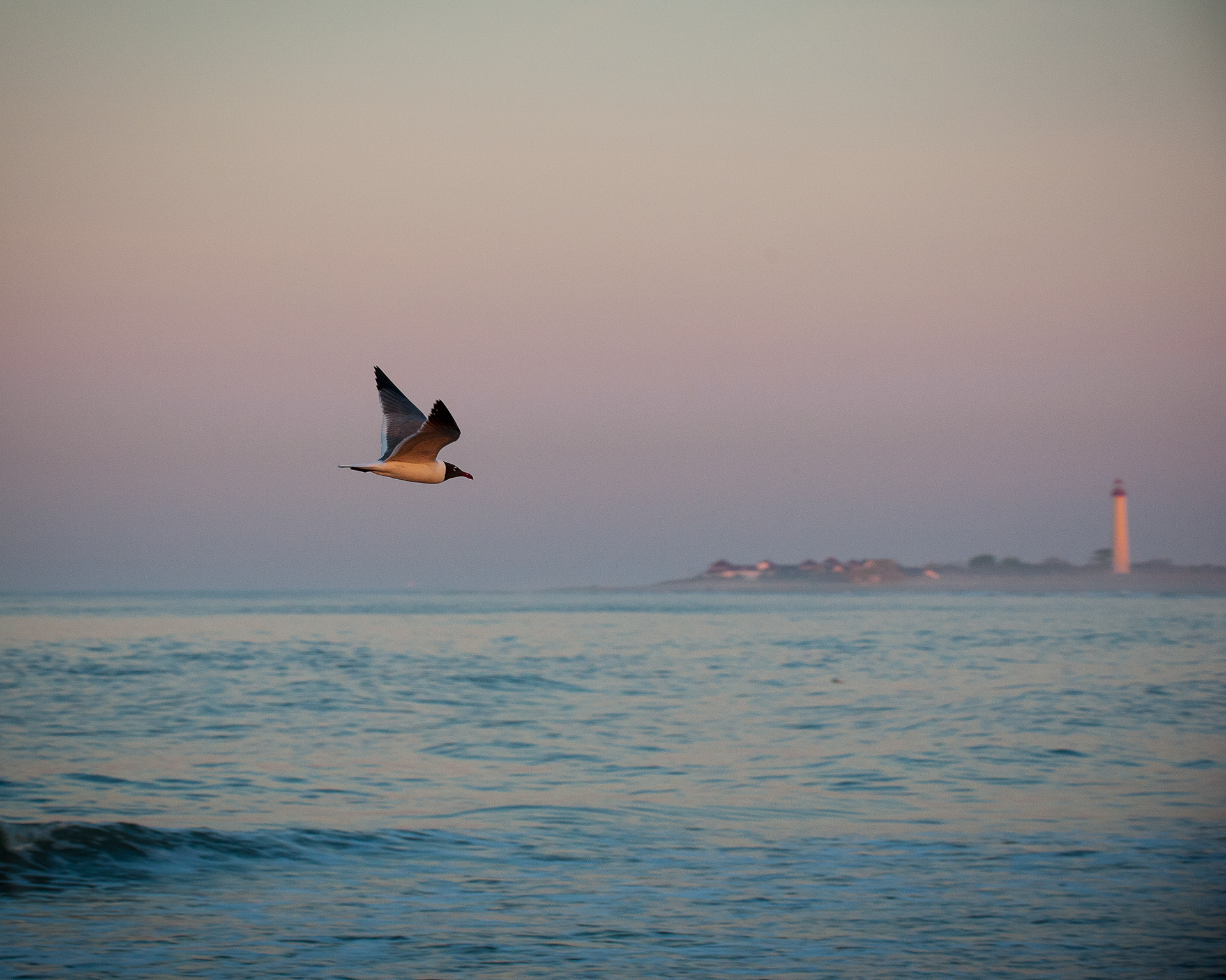 Cape May Lighthouse, Cape May