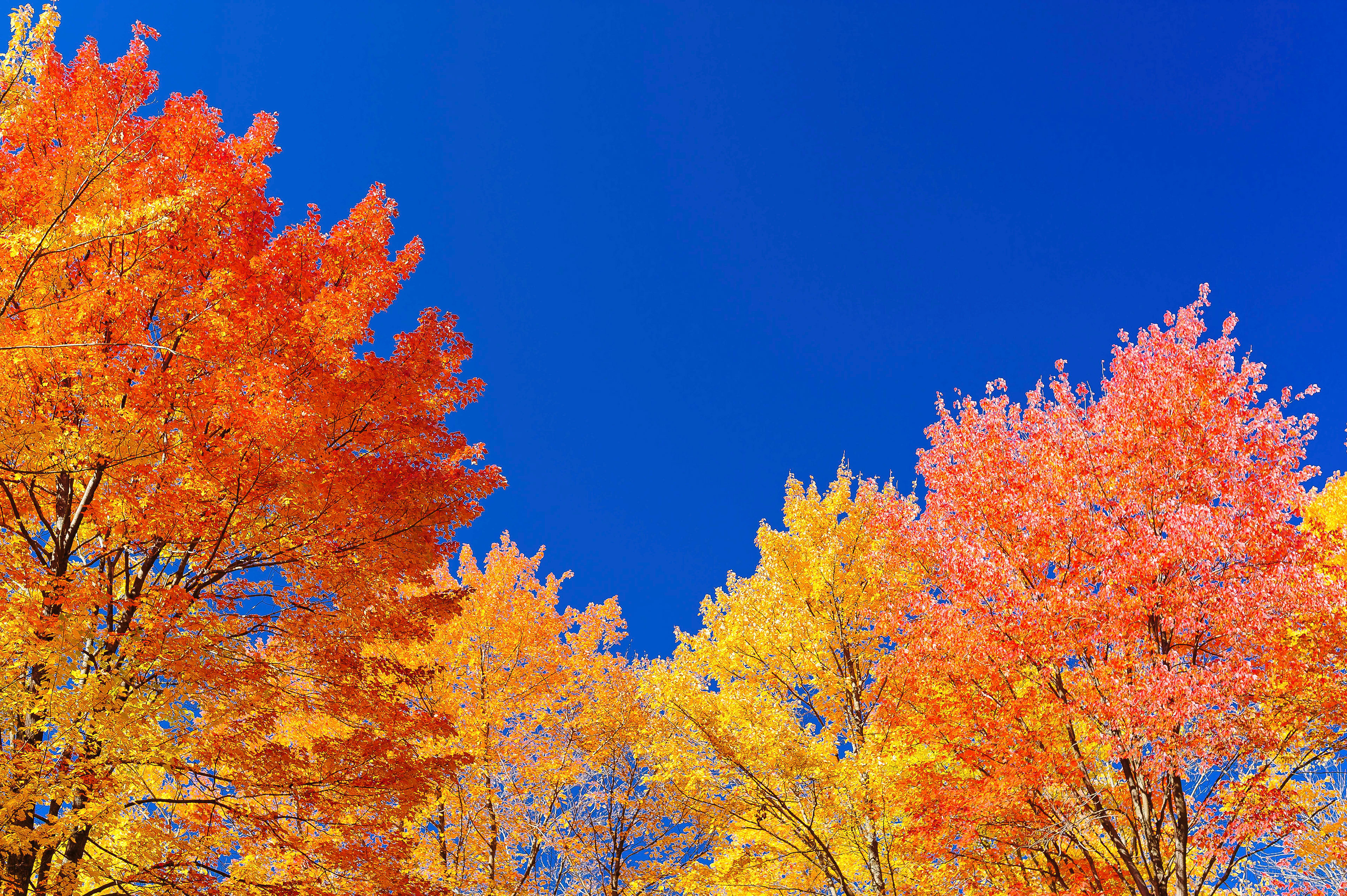 Western Pennsylvania