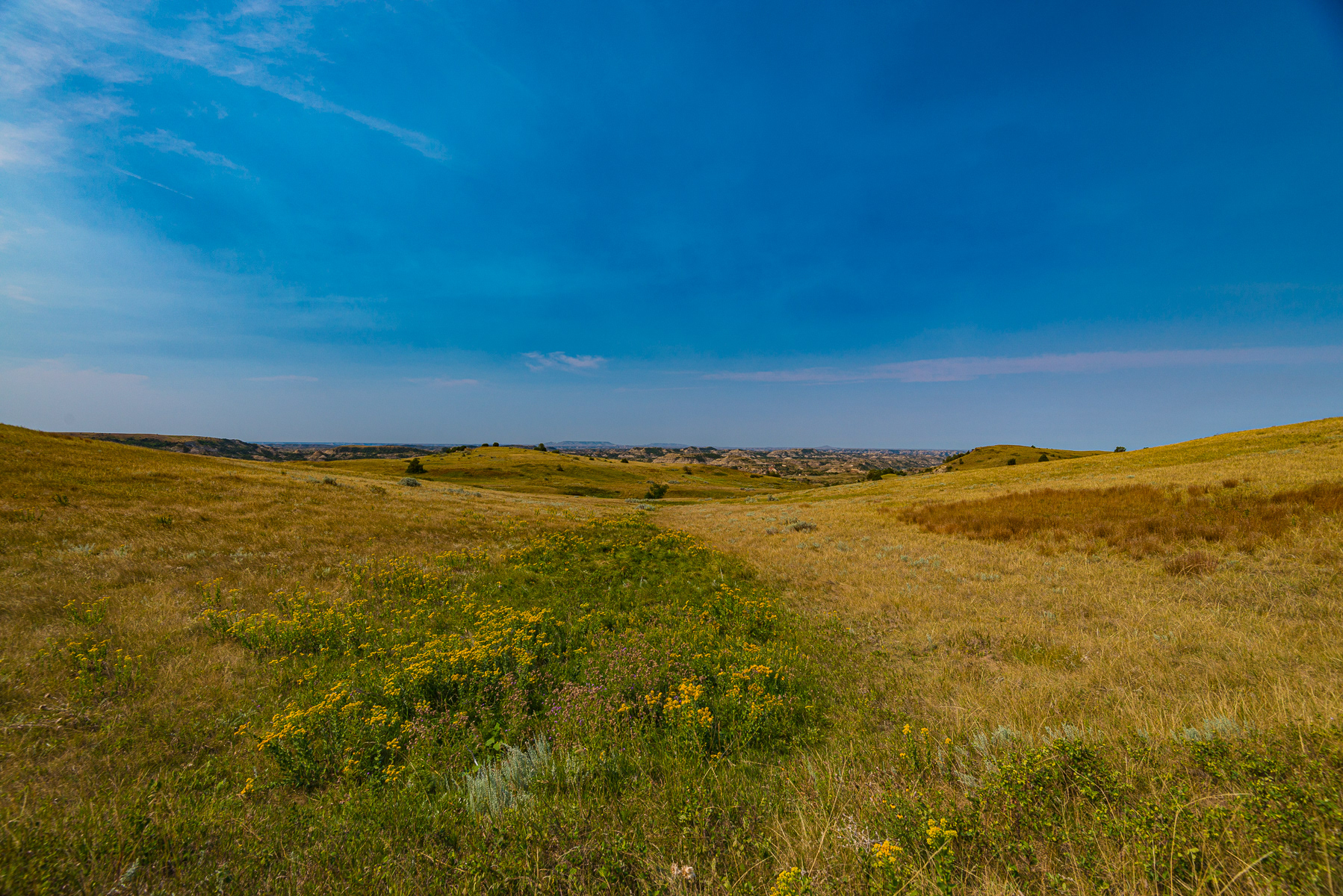 Teddy Roosevelt National Park