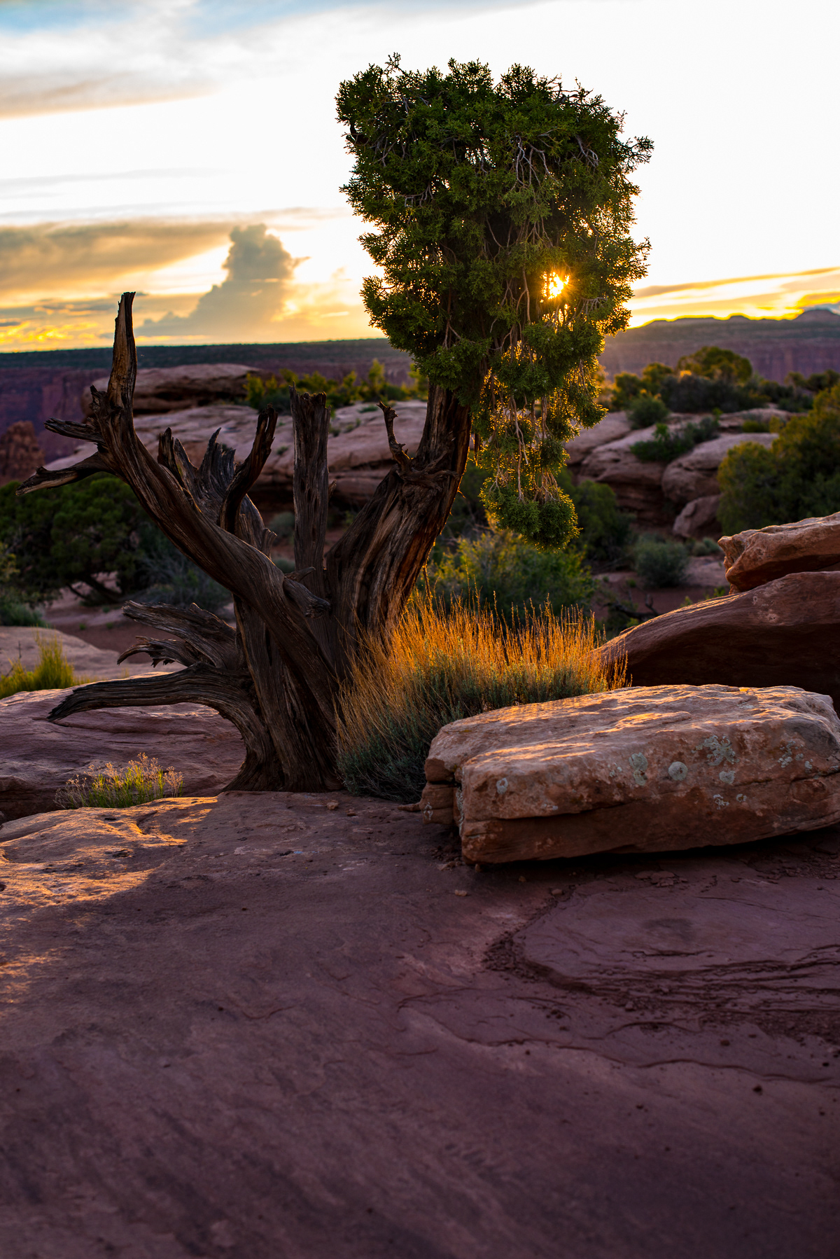 Dead Horse Point State Park, Utah